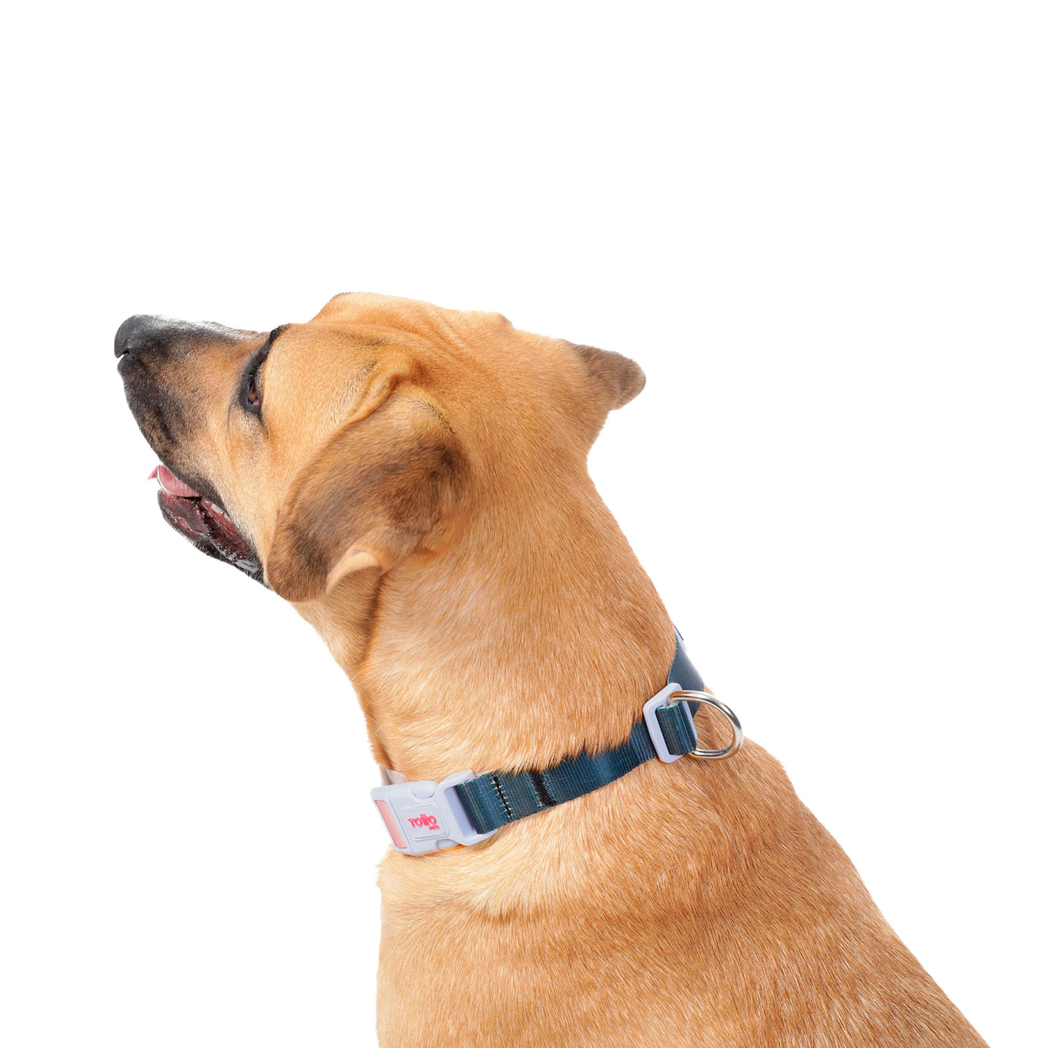 Collar para perro Mylu L Rosada