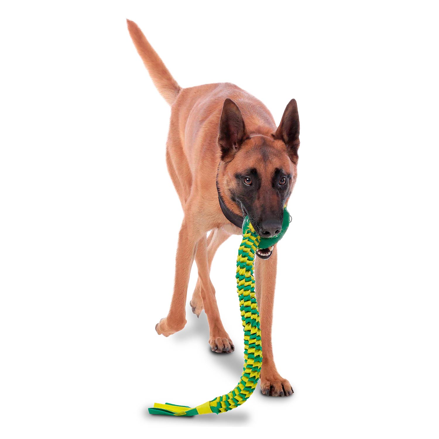 Juguete para mascota Serppi Verde