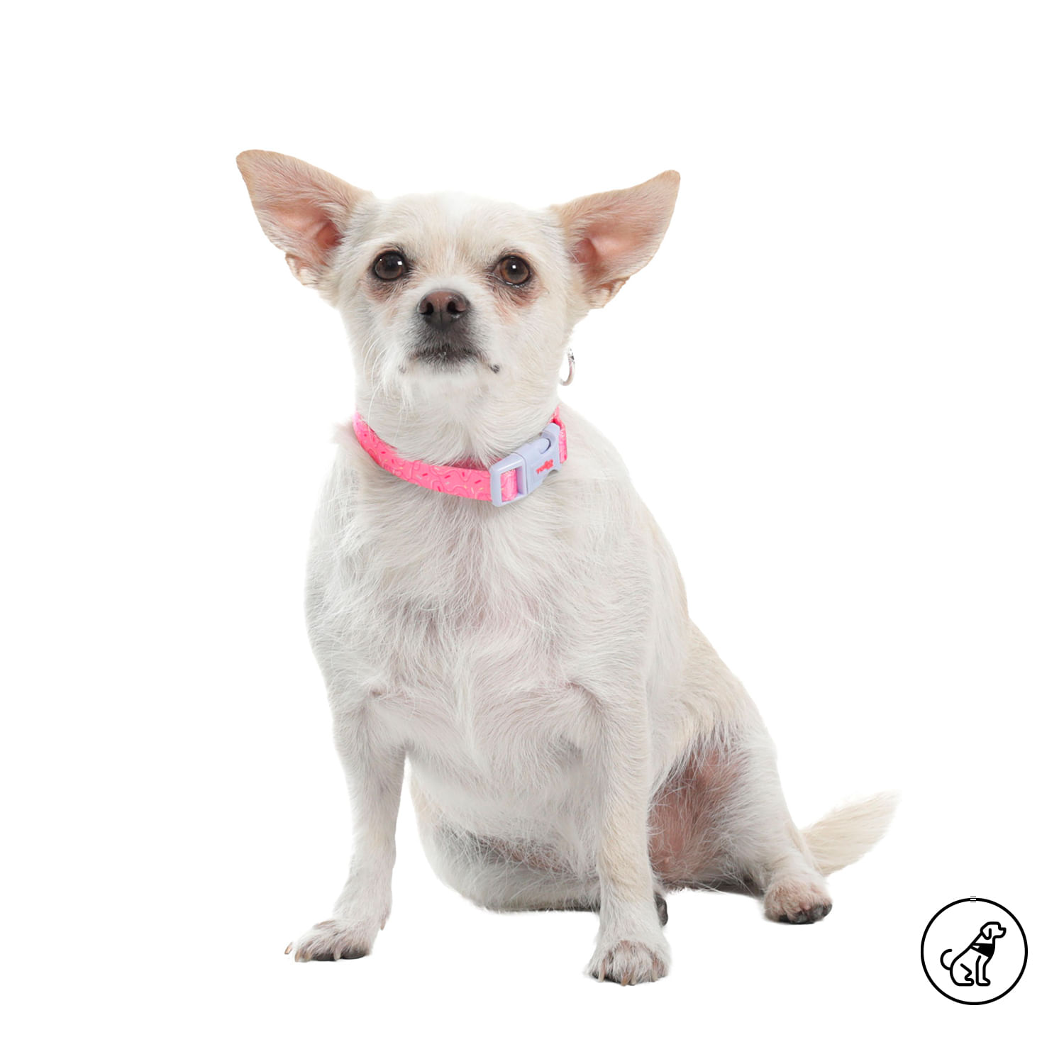 Collar para perro Mylu Xs Rosada