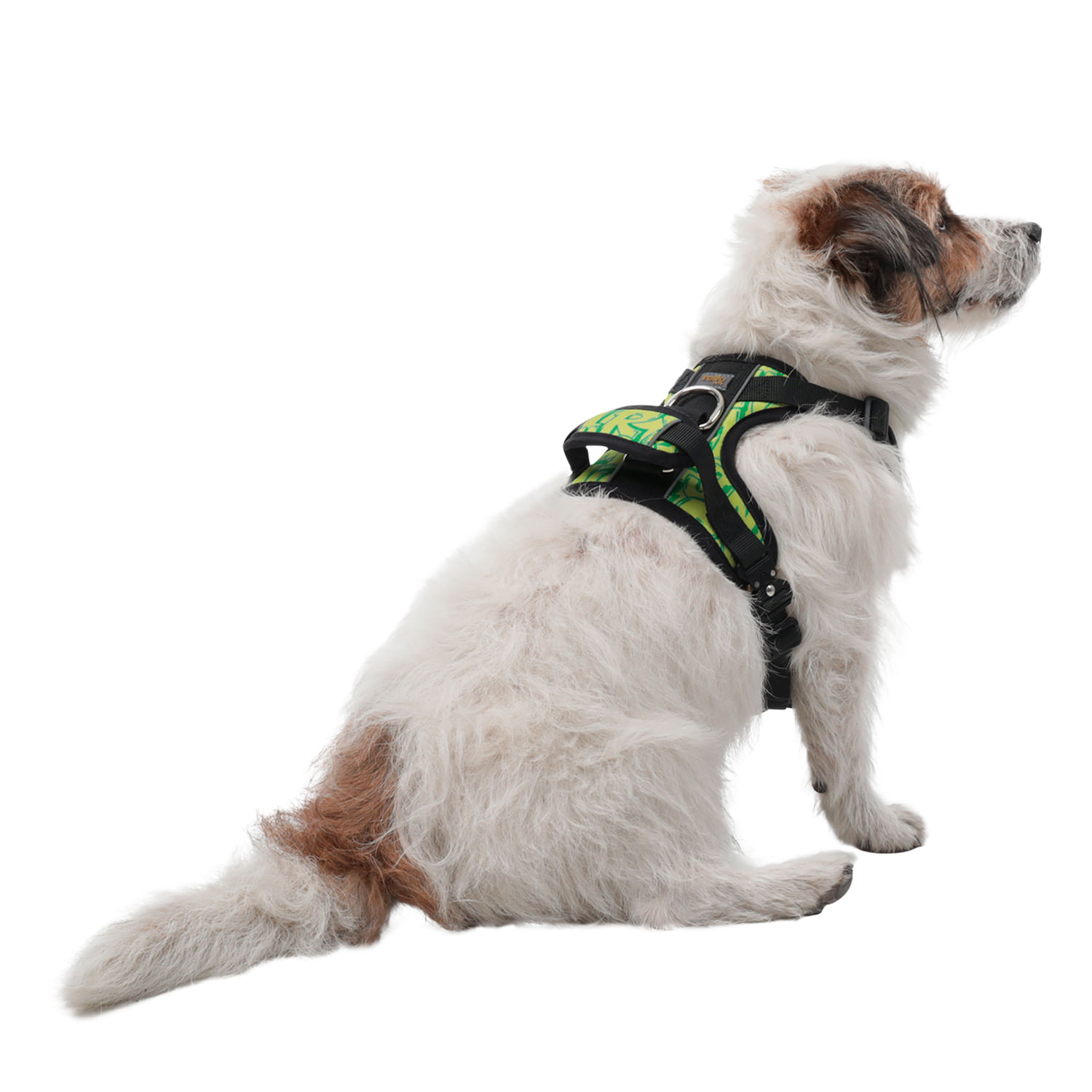 Arnés pechera para perro Draco S Amarillo/Verde
