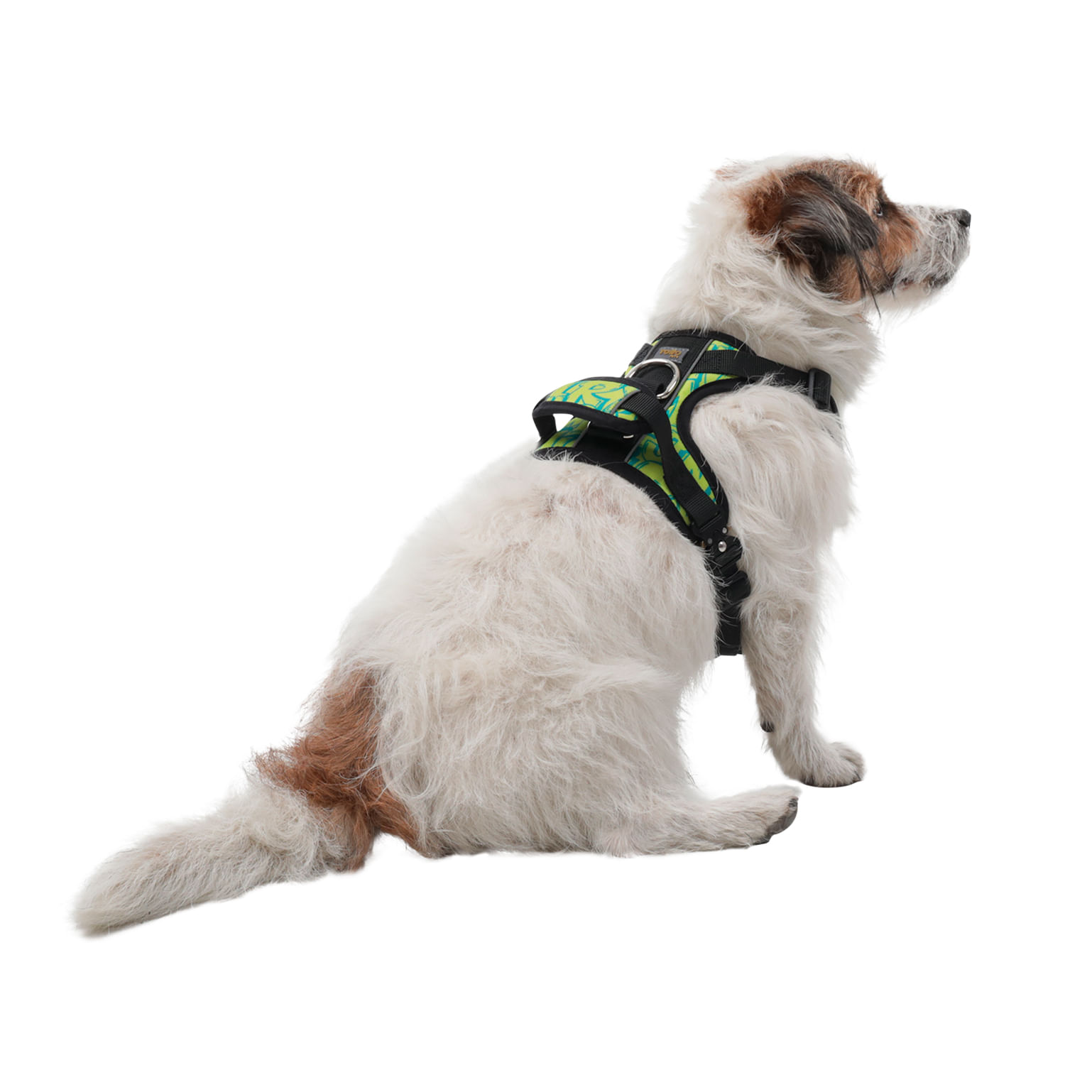 Arnés pechera para perro Draco Xs Amarillo/Verde