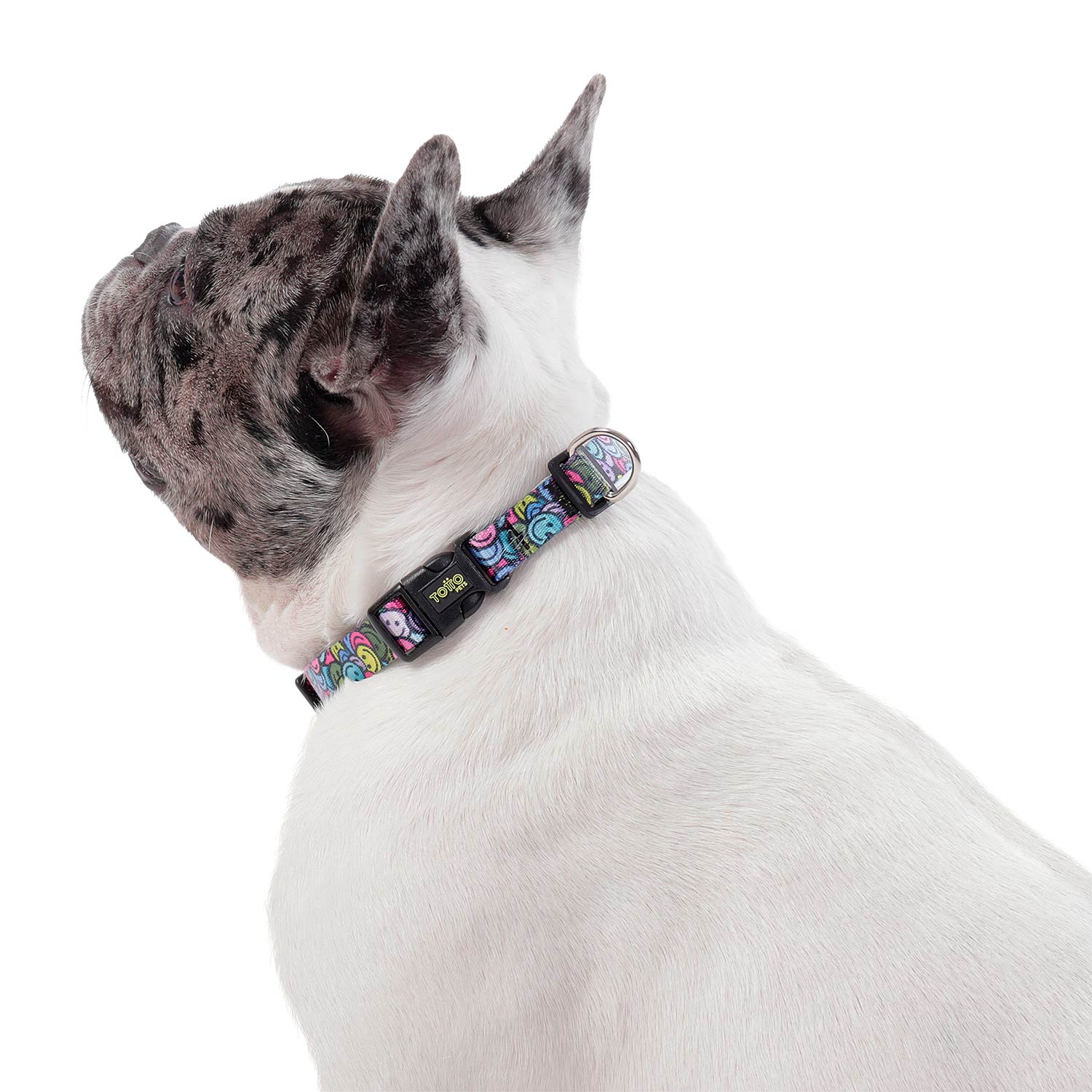 Collar Ajustable Mylu Grande Para Perro