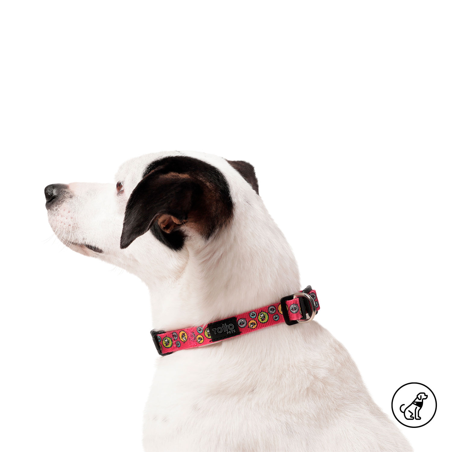 Collar para perro Mylu L Rojo