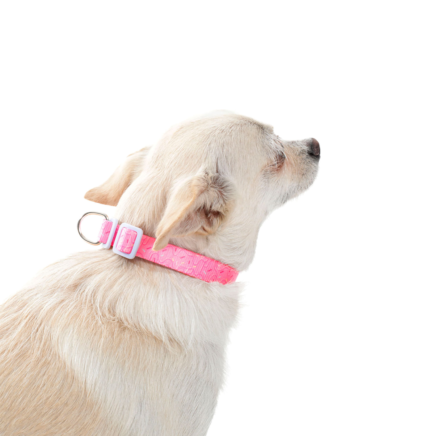 Collar para perro Mylu Xs Rosada