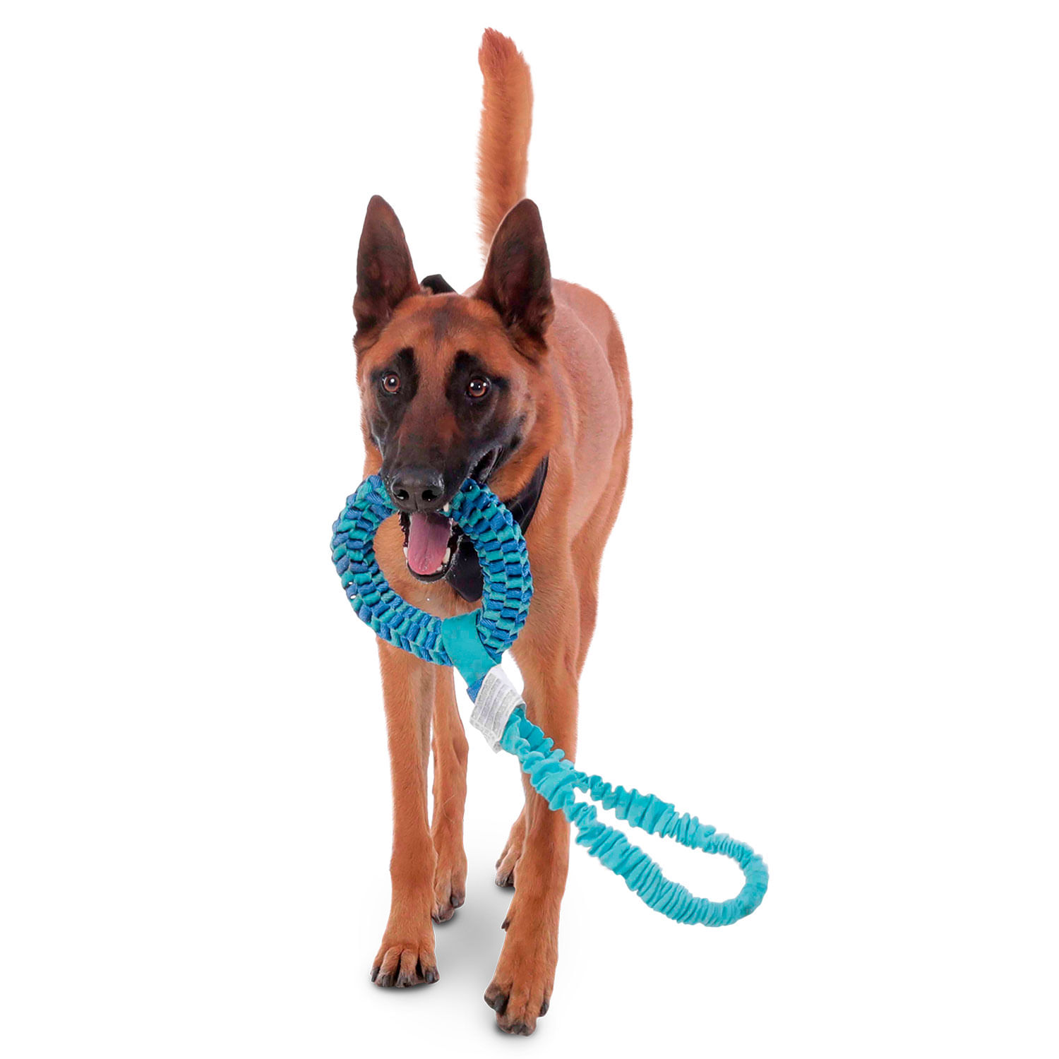 Juguete para mascota Donni Azul/Azul