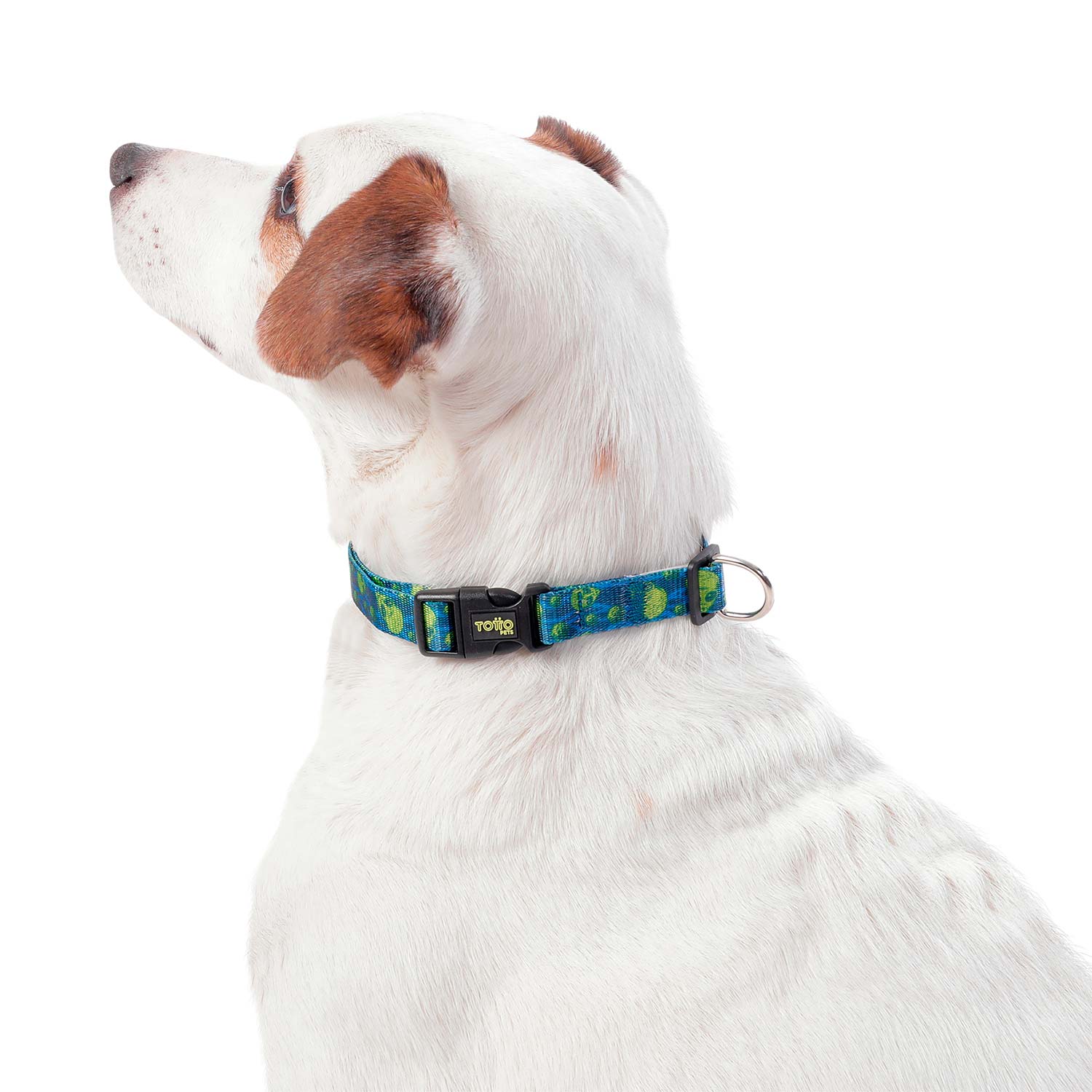 Collar para Perro Mylu Xl Azul