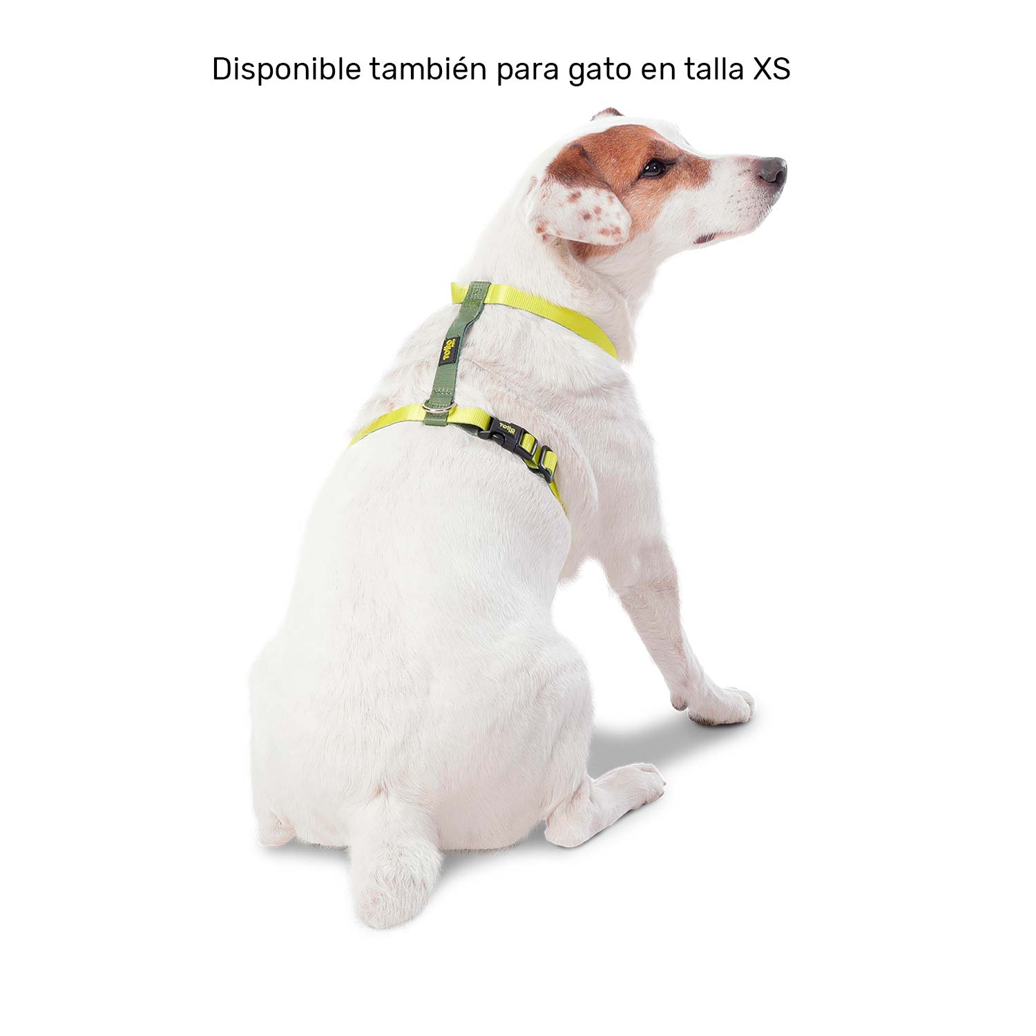Arnés Figgo Grande Para Mascota