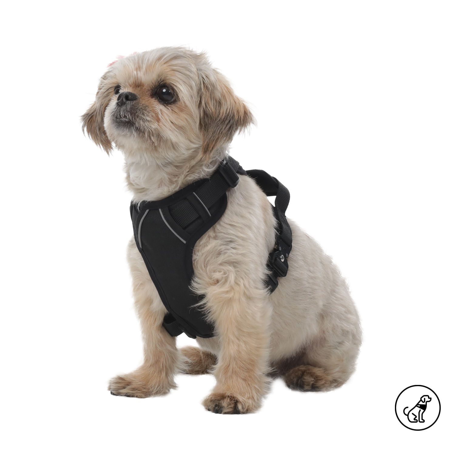 Arnés pechera para perro Draco Xs Negro