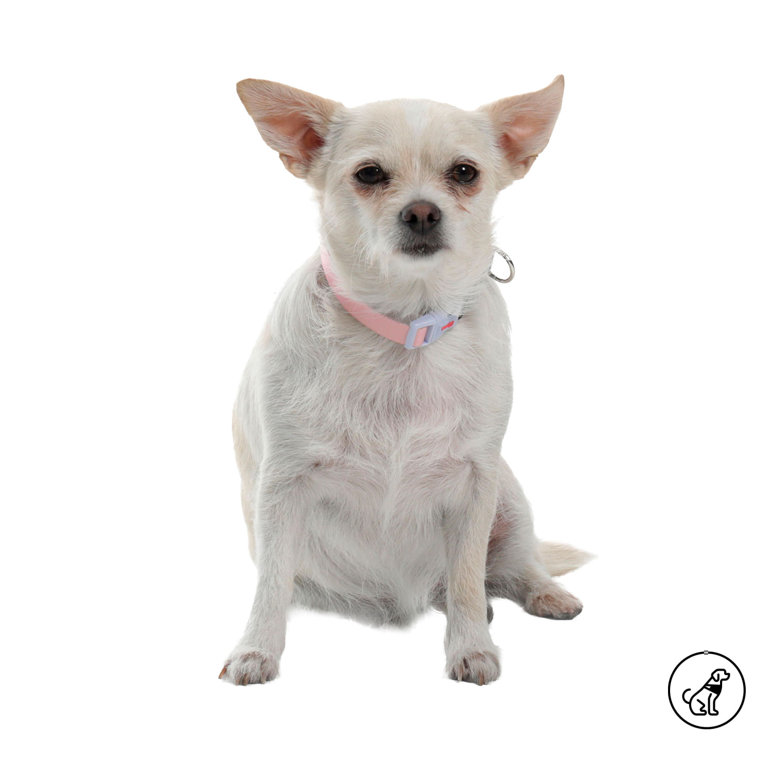 Collar para perro Mylu Xs Rosada