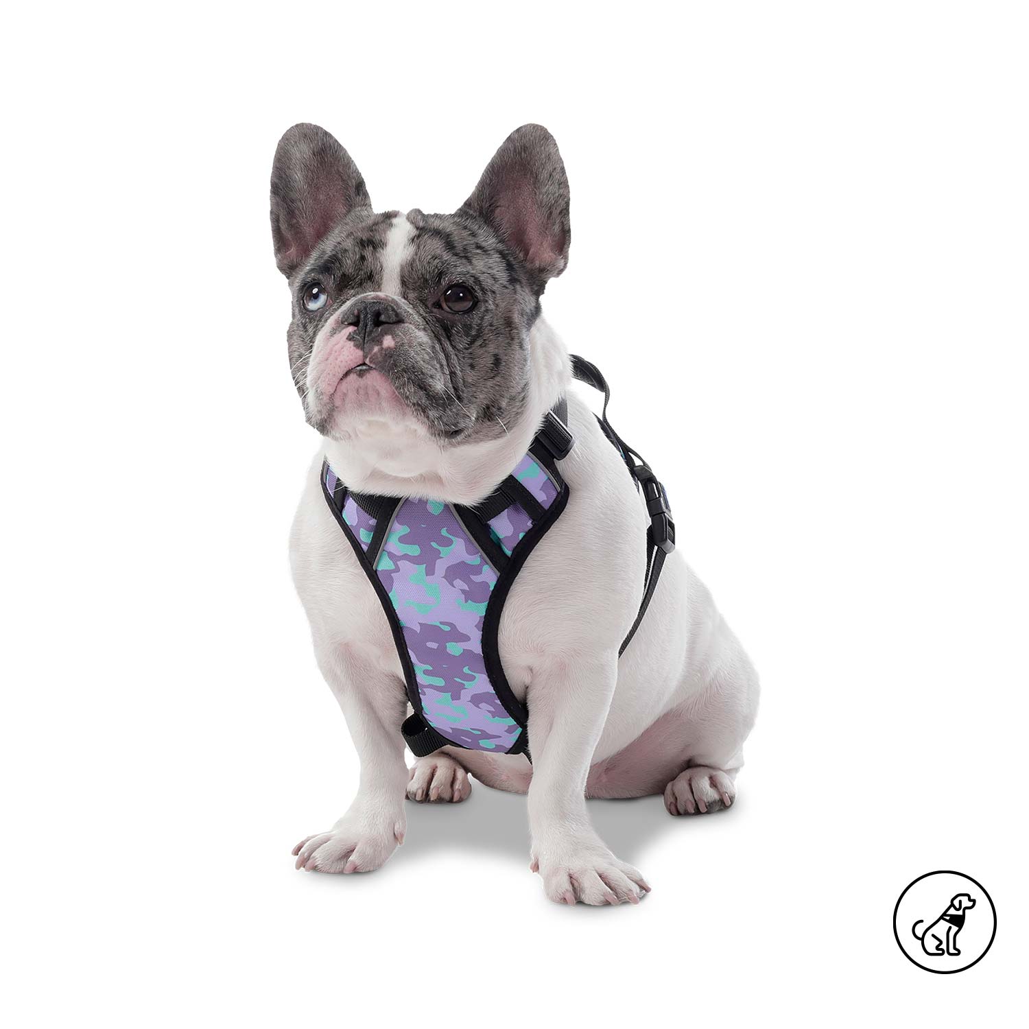Arnés Pechera para Perro Heikul Xl Morado