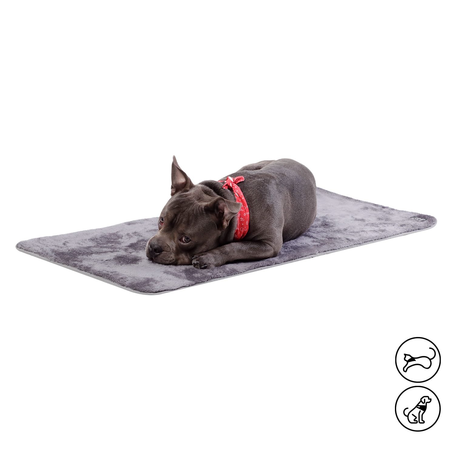 Cama Plegable Portatil Sherpy Mediano Gris