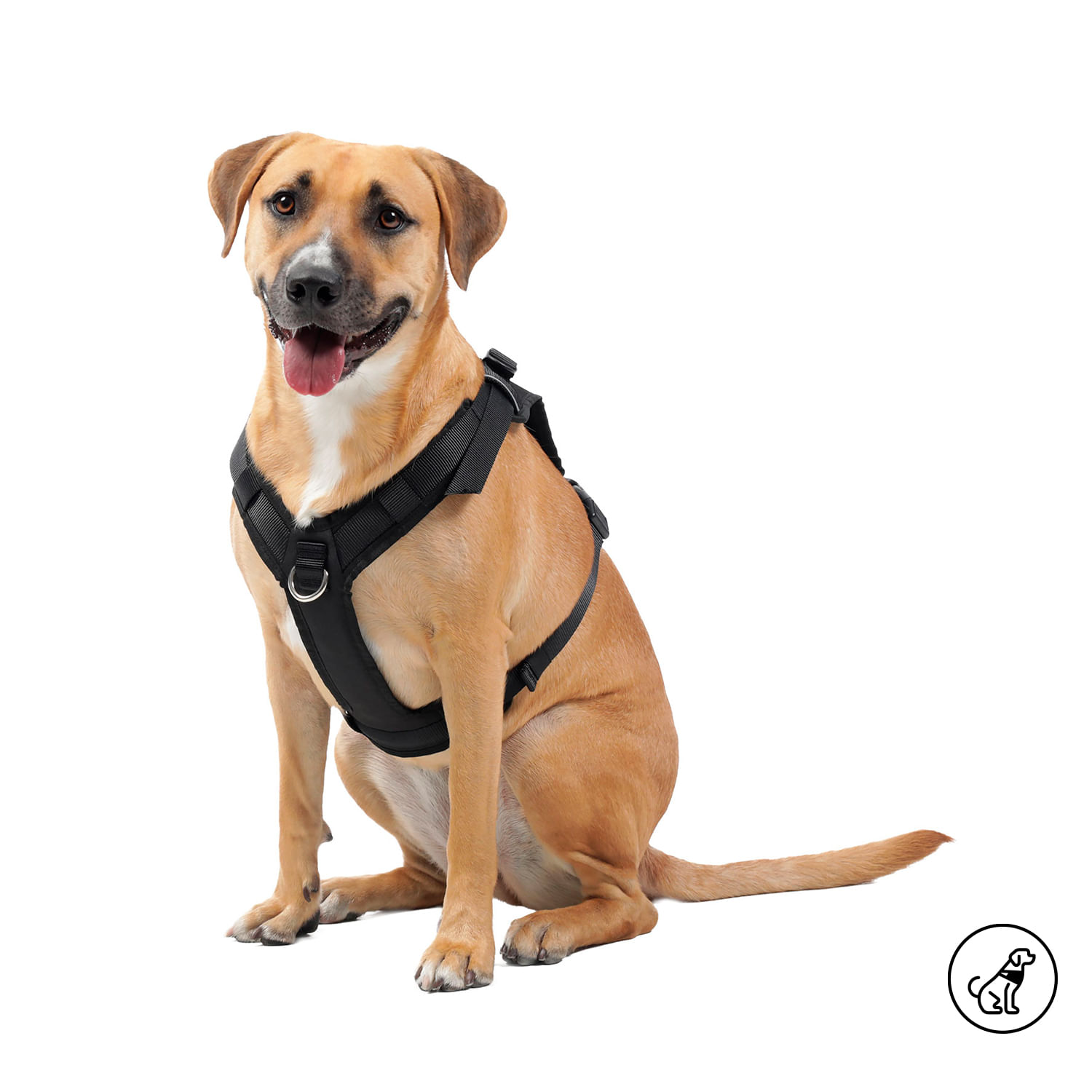 Arnés Pechera para Perro Rex L Negro