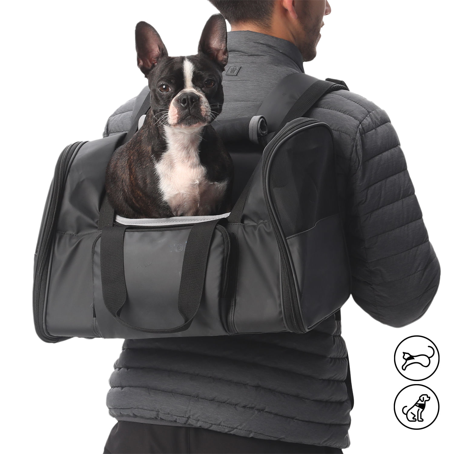 Cargador para mascota Rocco Negro