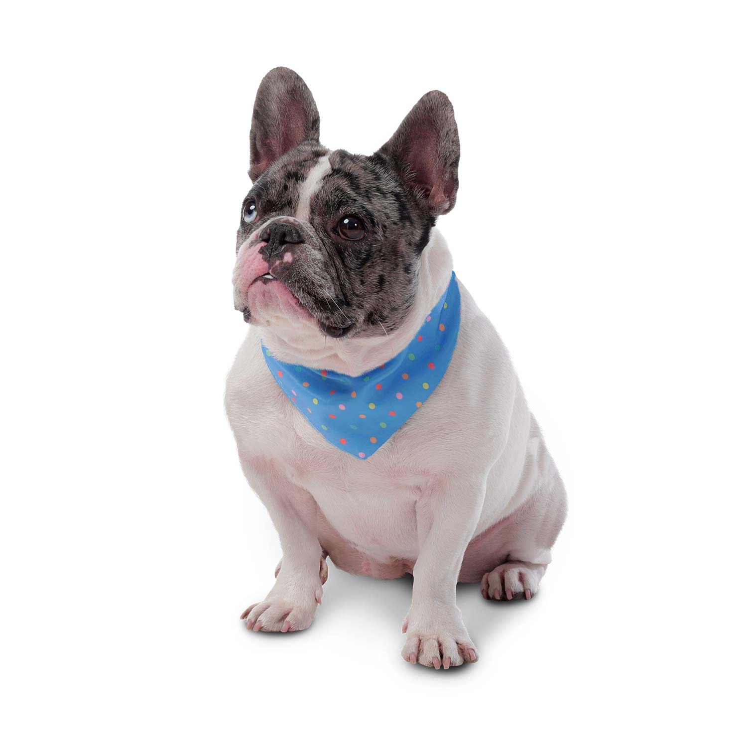 Pañuelo para perro Menta Doble Faz 2.0 Xl Rosado