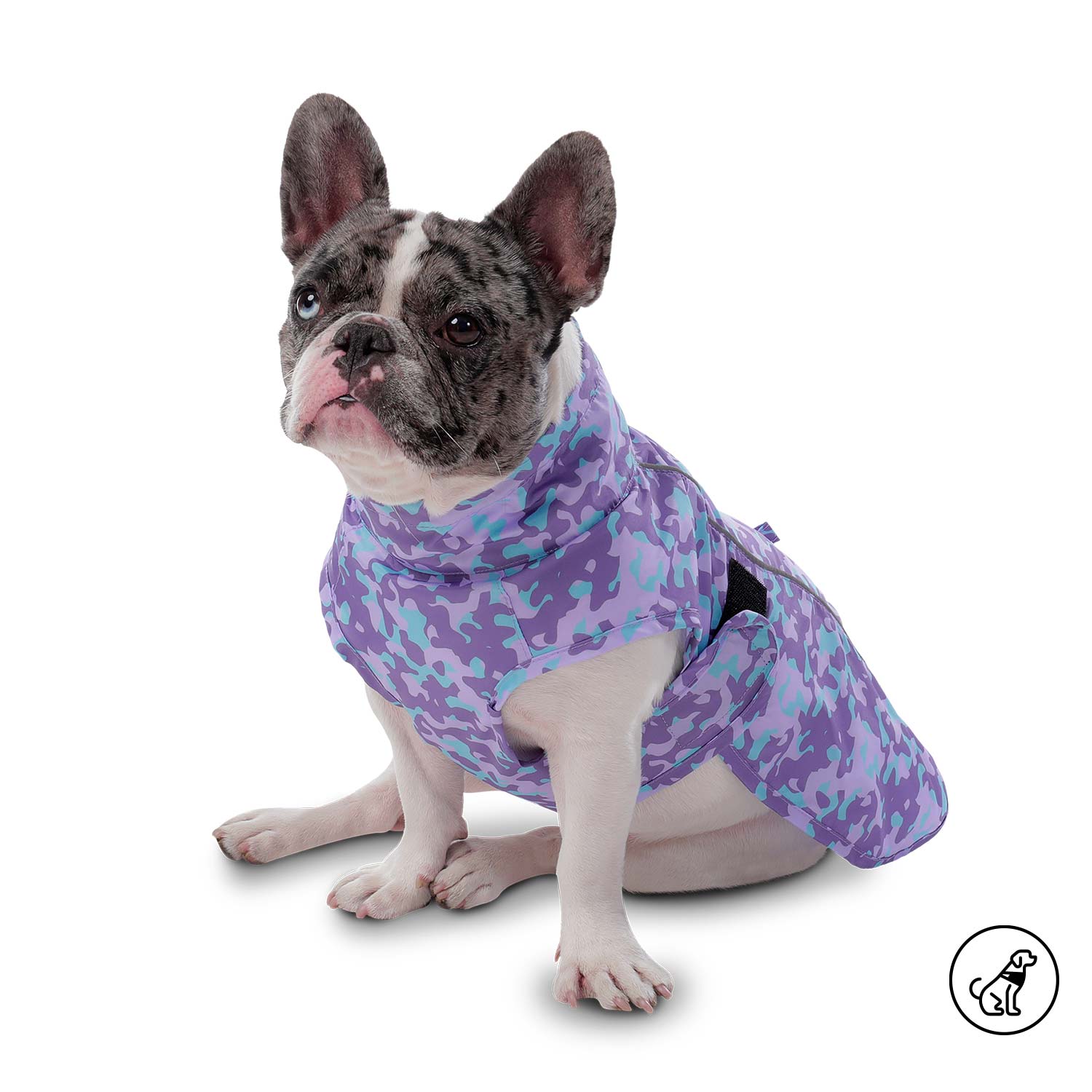 Capa impermeable para Perro Sussy Xl Morada