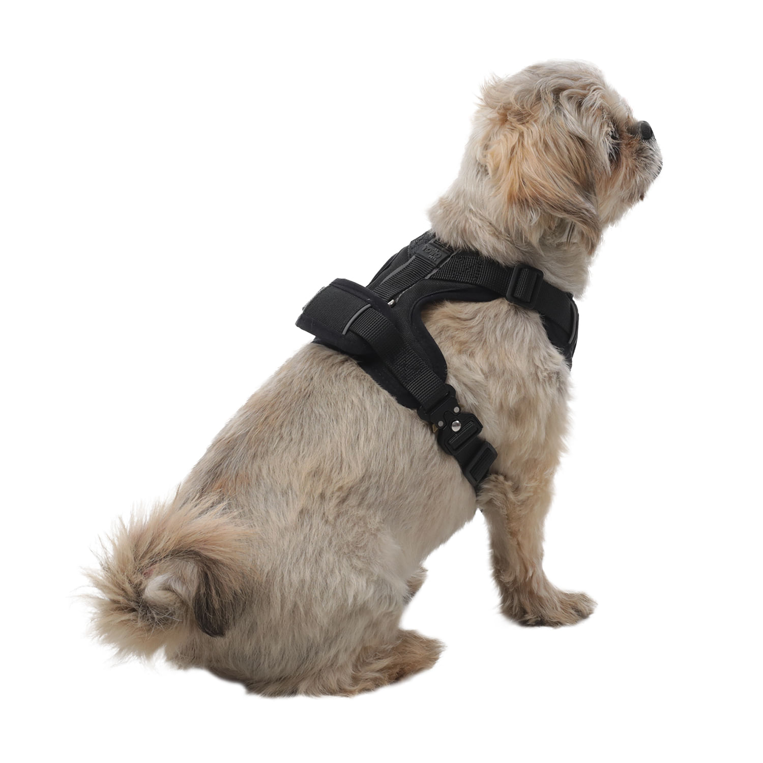 Arnés pechera para perro Draco Xs Negro