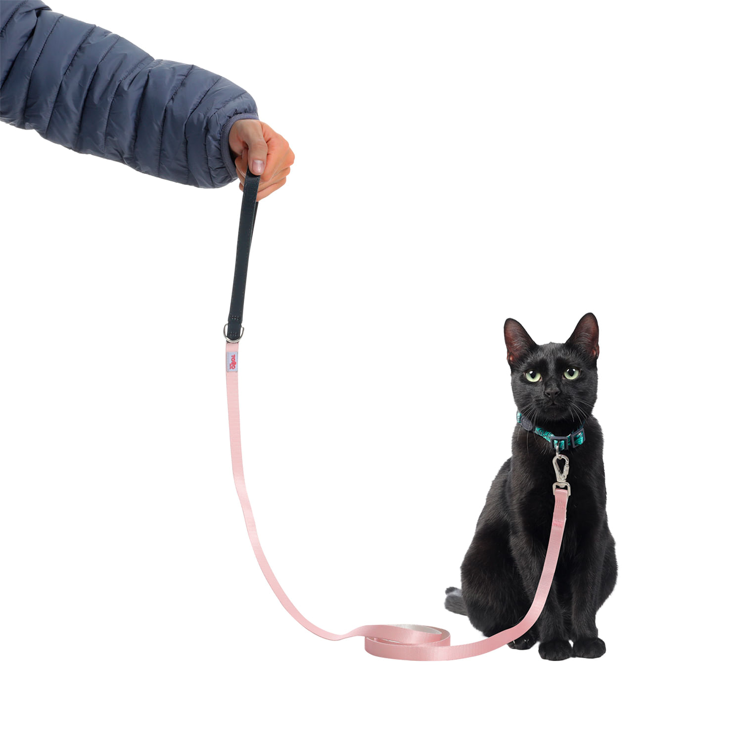 Correa para mascota Sencilla Odye S Rosada