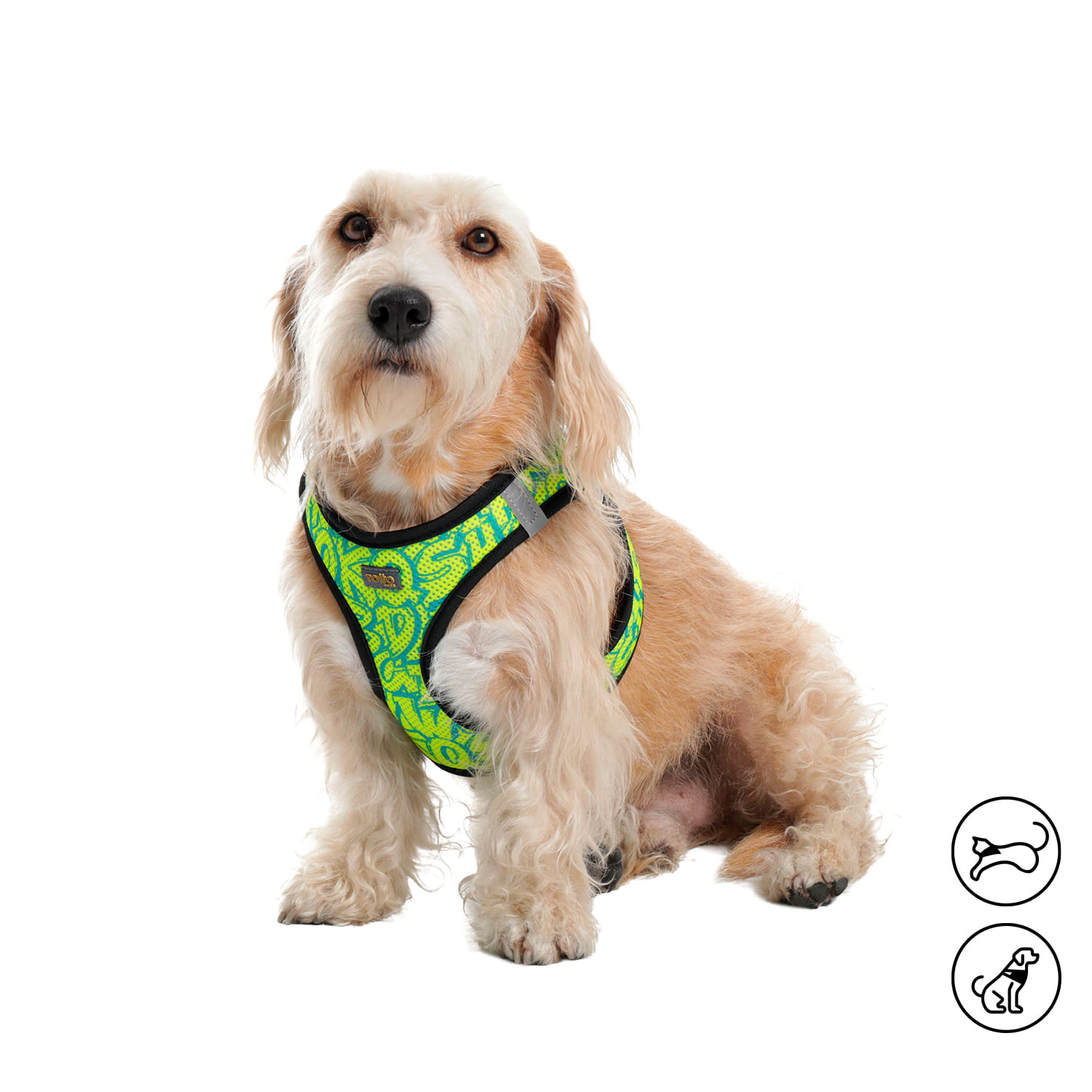 Arnés Pechera para Perro-Gato Toby S Amarillo