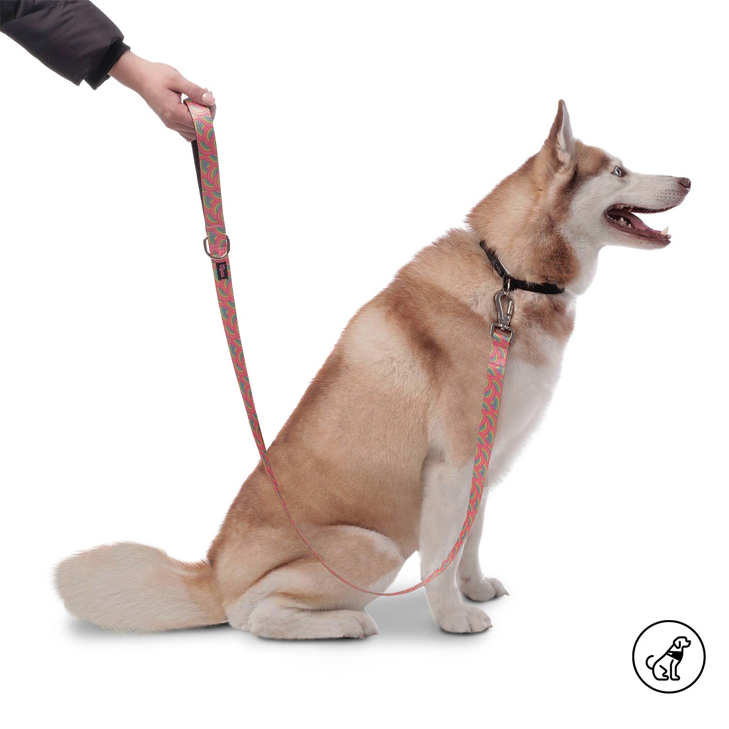 Correa para Perro pequeño Odye Rosada