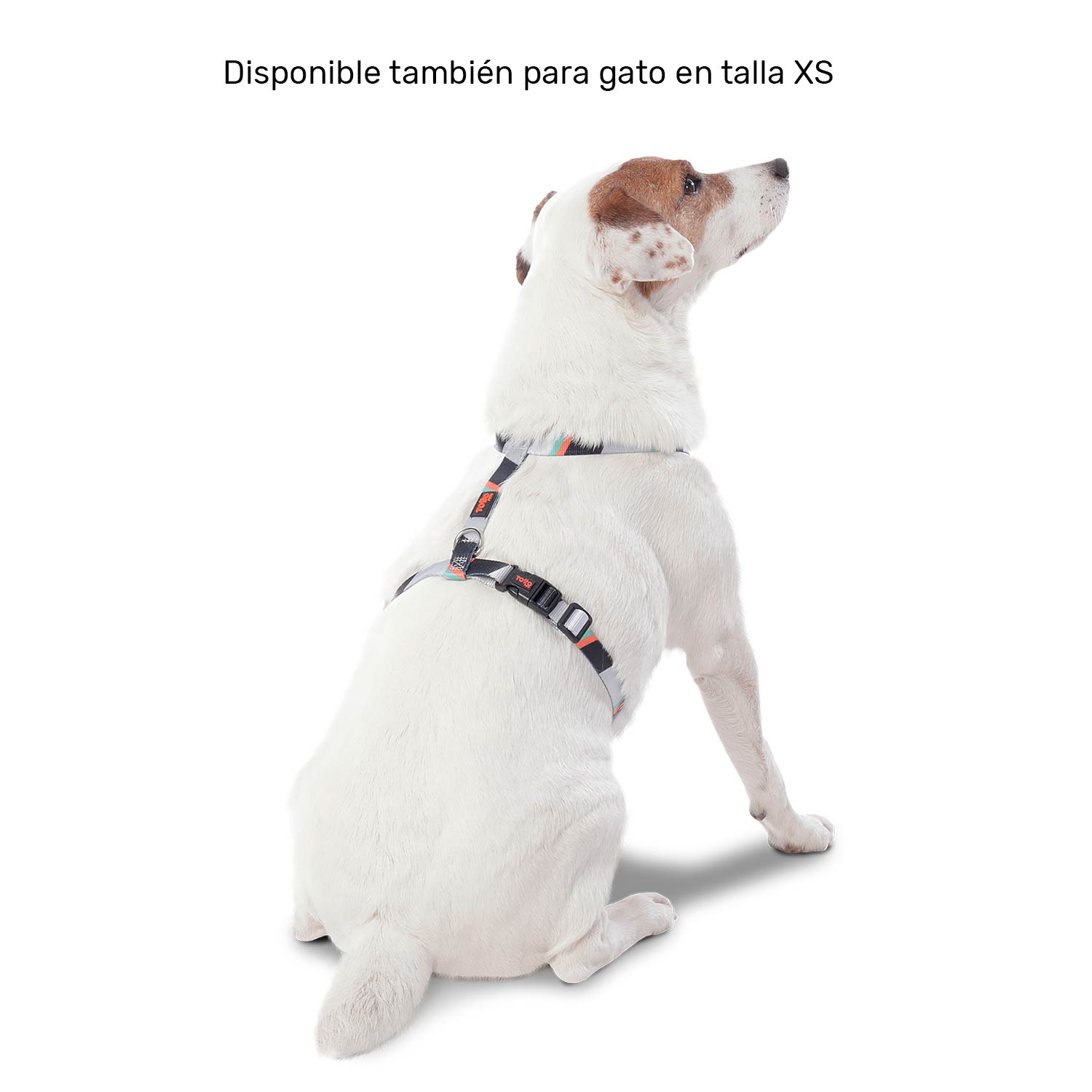 Arnés Figgo Grande Para Mascota