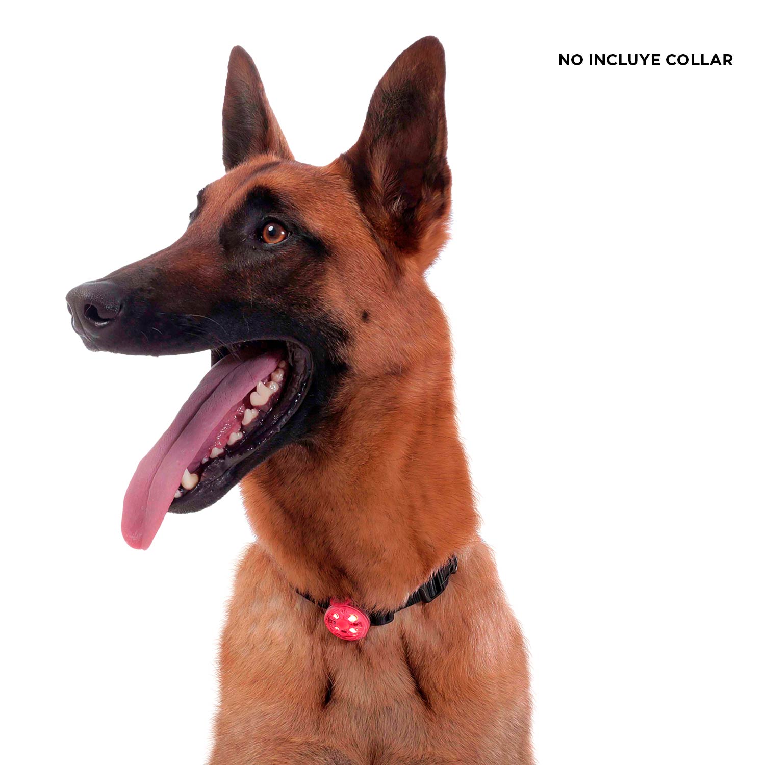 Linterna para mascota Megan Roja