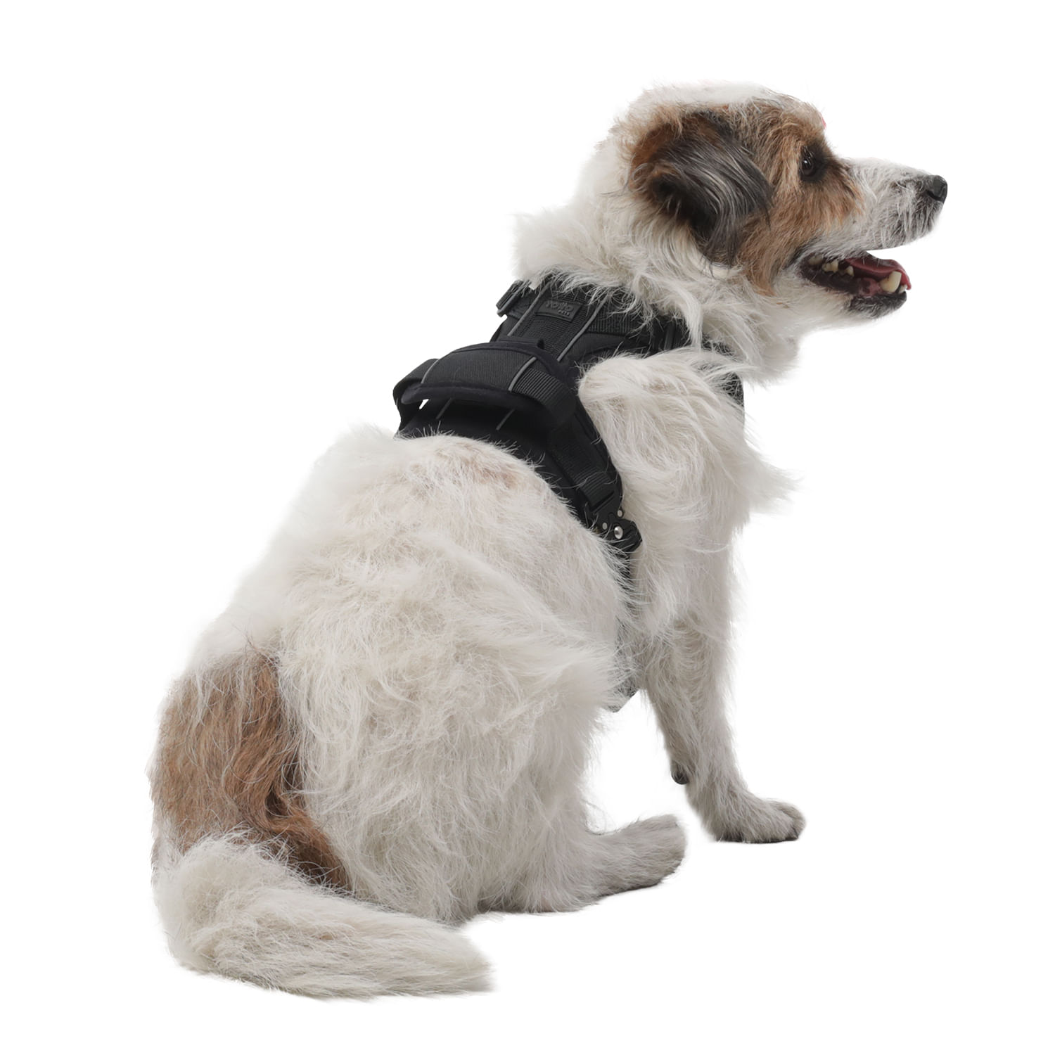 Arnés pechera para perro Draco S Negro