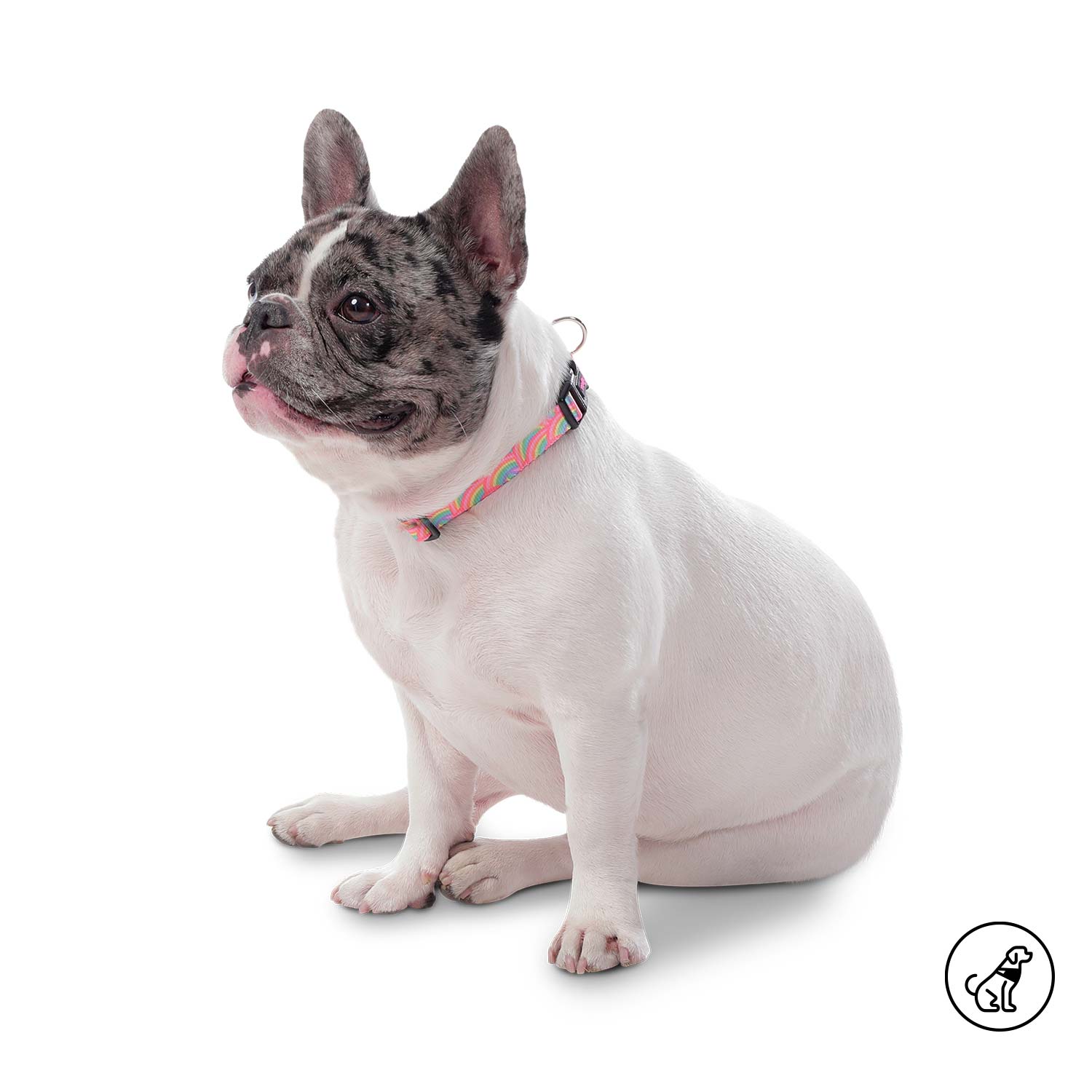 Collar para perro Mylu L Rosada