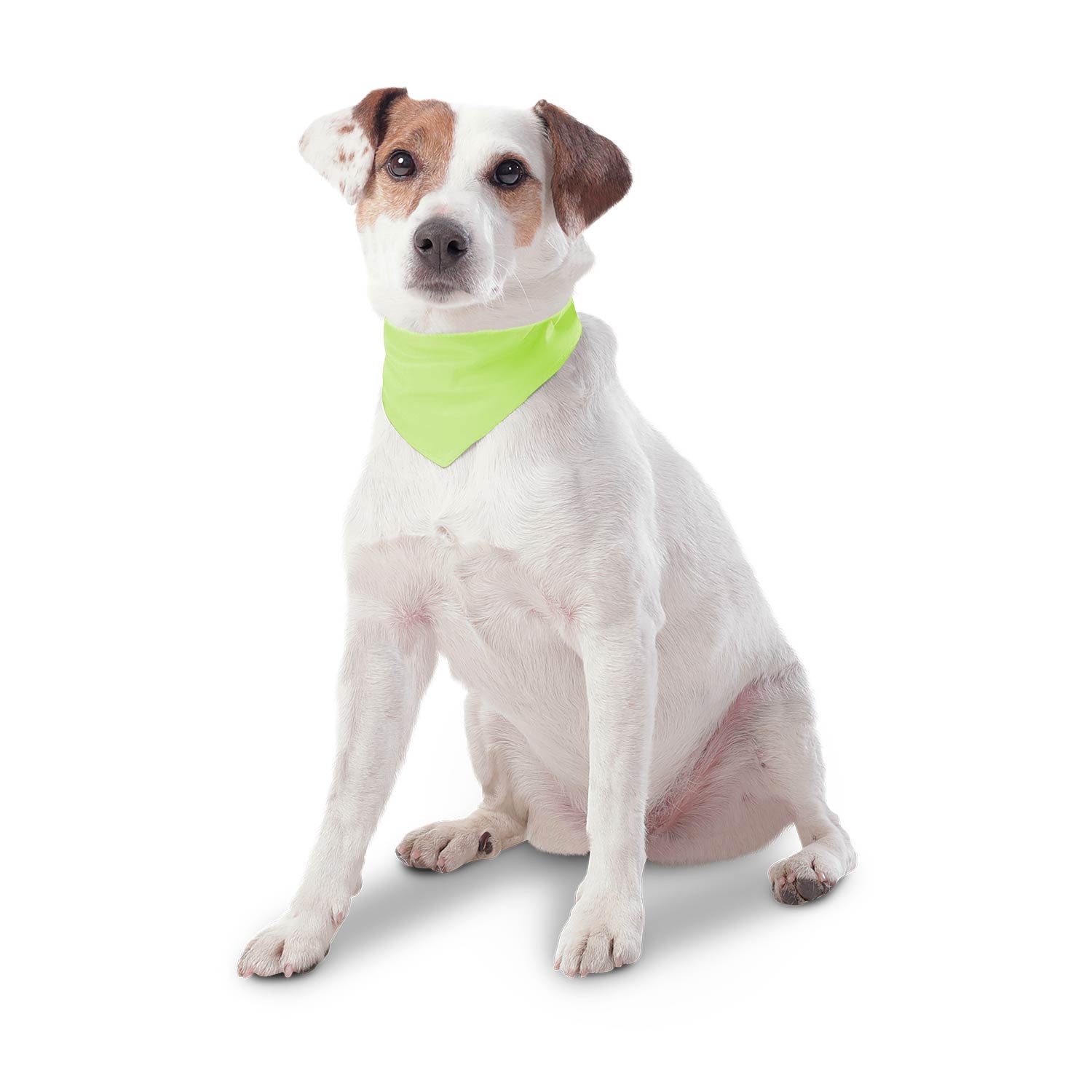 Pañuelo para perro Menta Doble Faz 2.0 Xl Gris