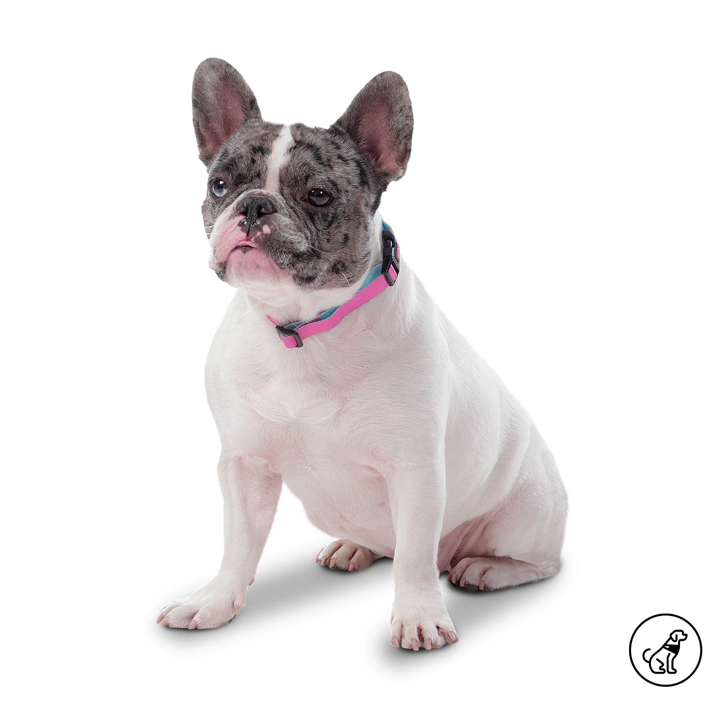 Collar Ajustable Mylu Grande Para Perro