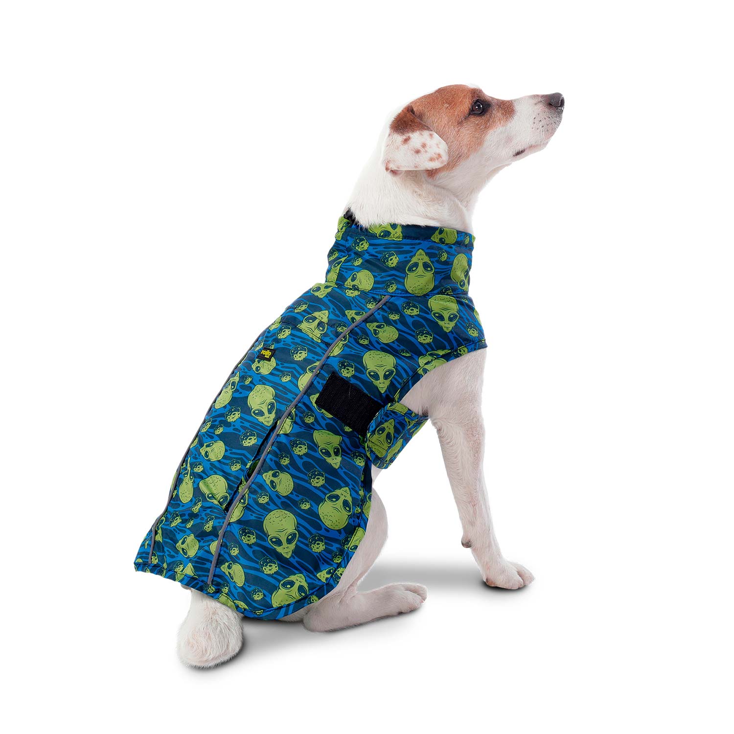 Capa impermeable para Perro Sussy Xl Azul