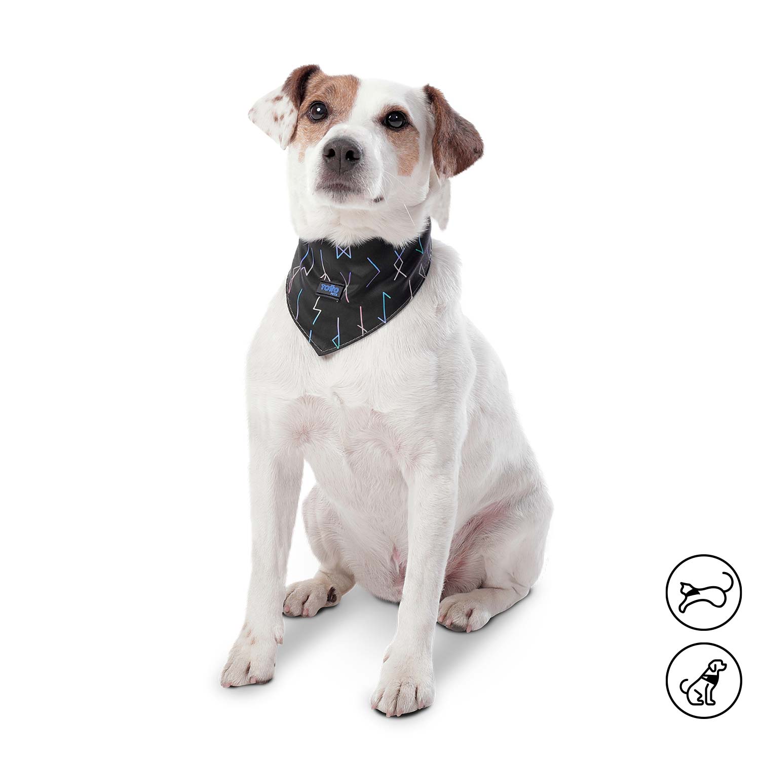 Pañoleta Menta 2.0 Grande Para Mascota