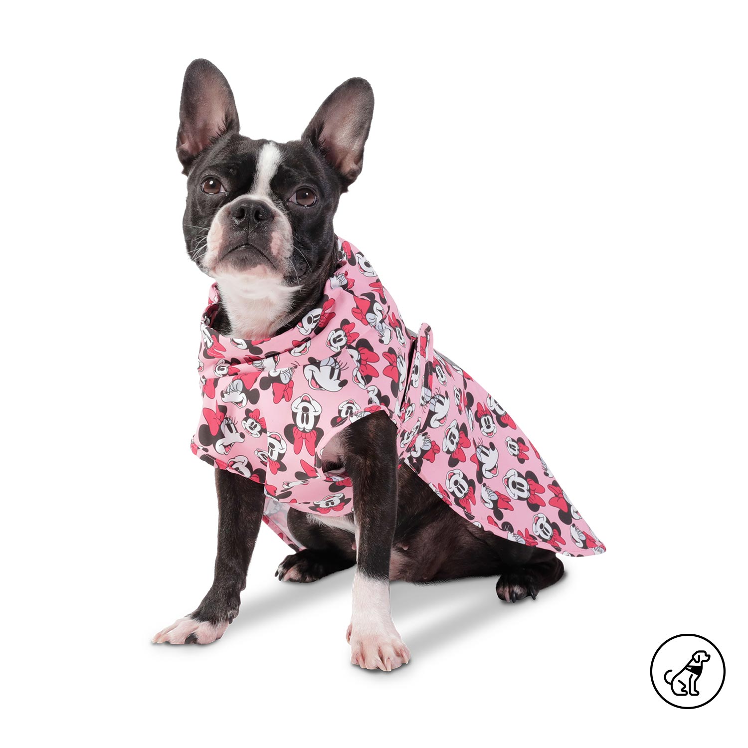 Capa De Lluvia Sussy Minnie Mouse Grande Para Perro