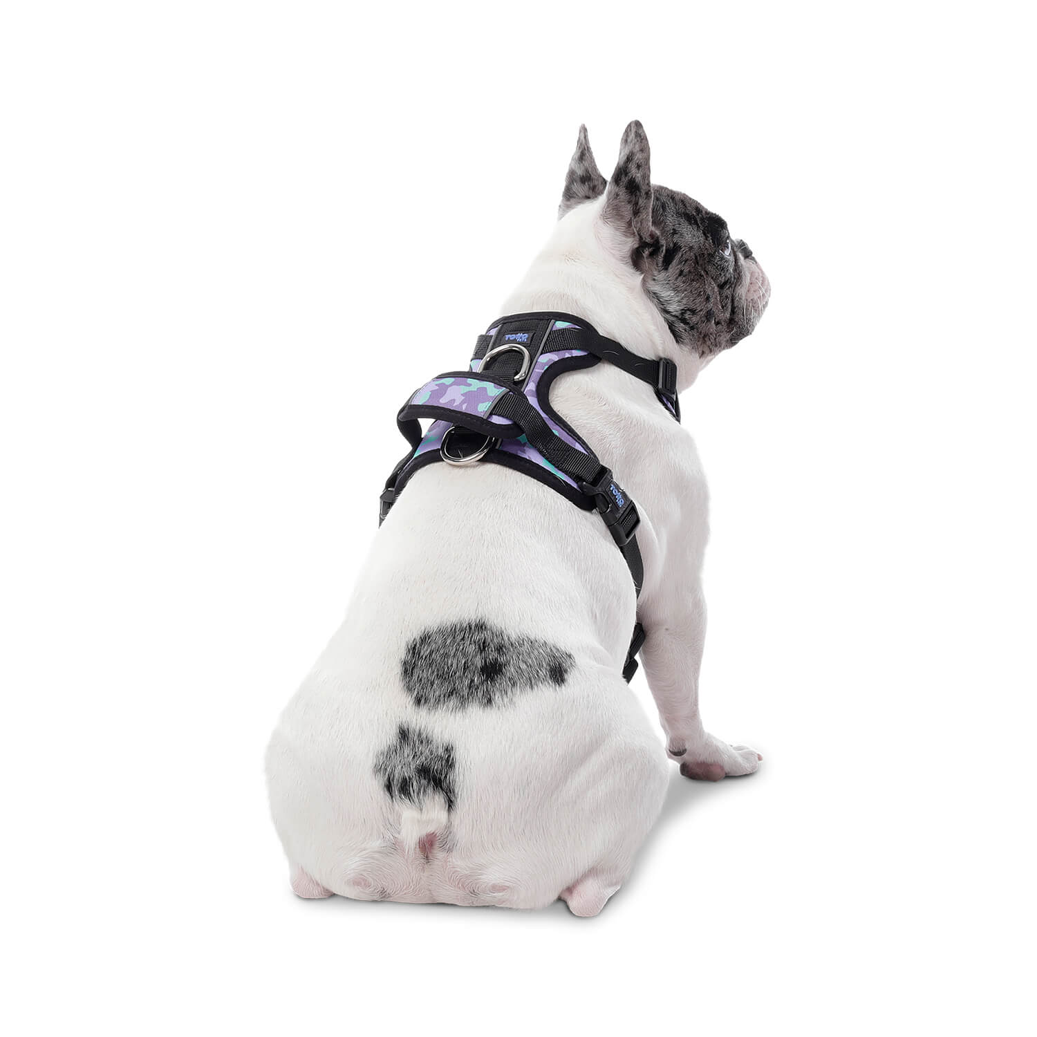 Arnés Pechera para Perro Heikul Xl Morado