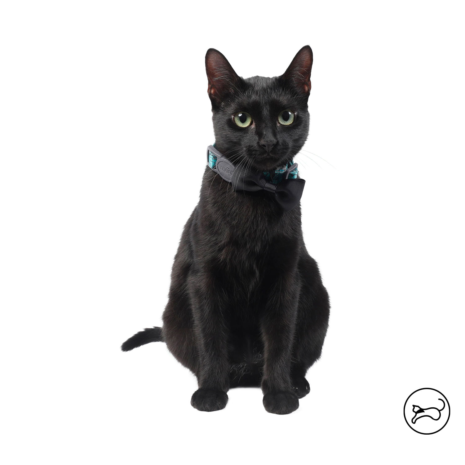 Collar para Gato Michi color Verde