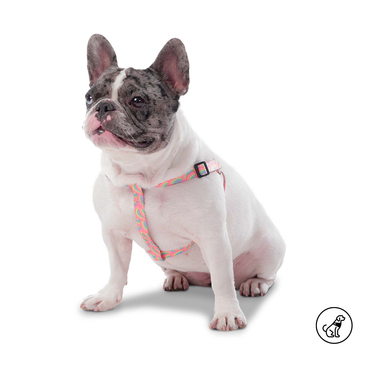 Arnés grande para Perro Brunno Xl Rosado