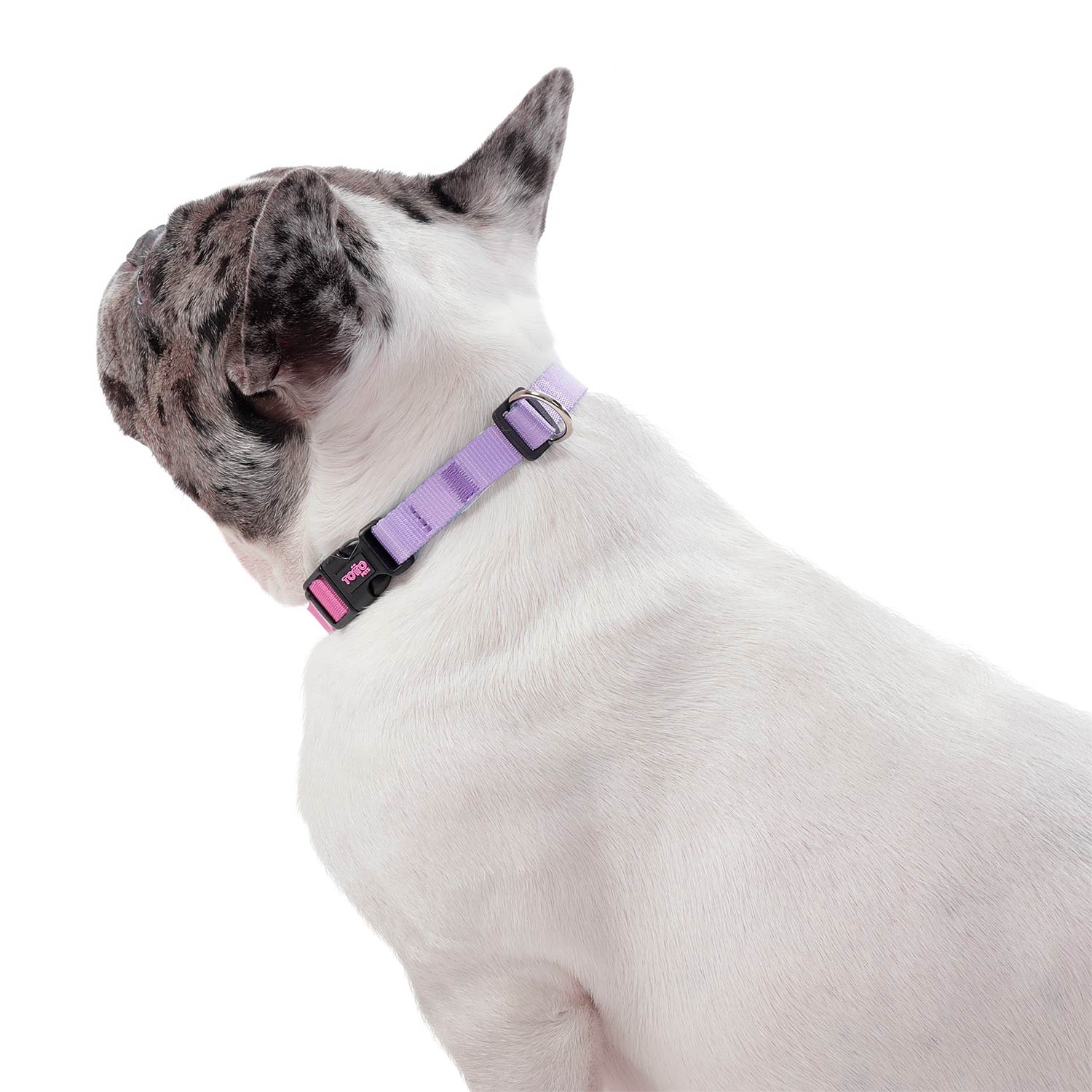 Collar Ajustable Mylu Grande Para Perro