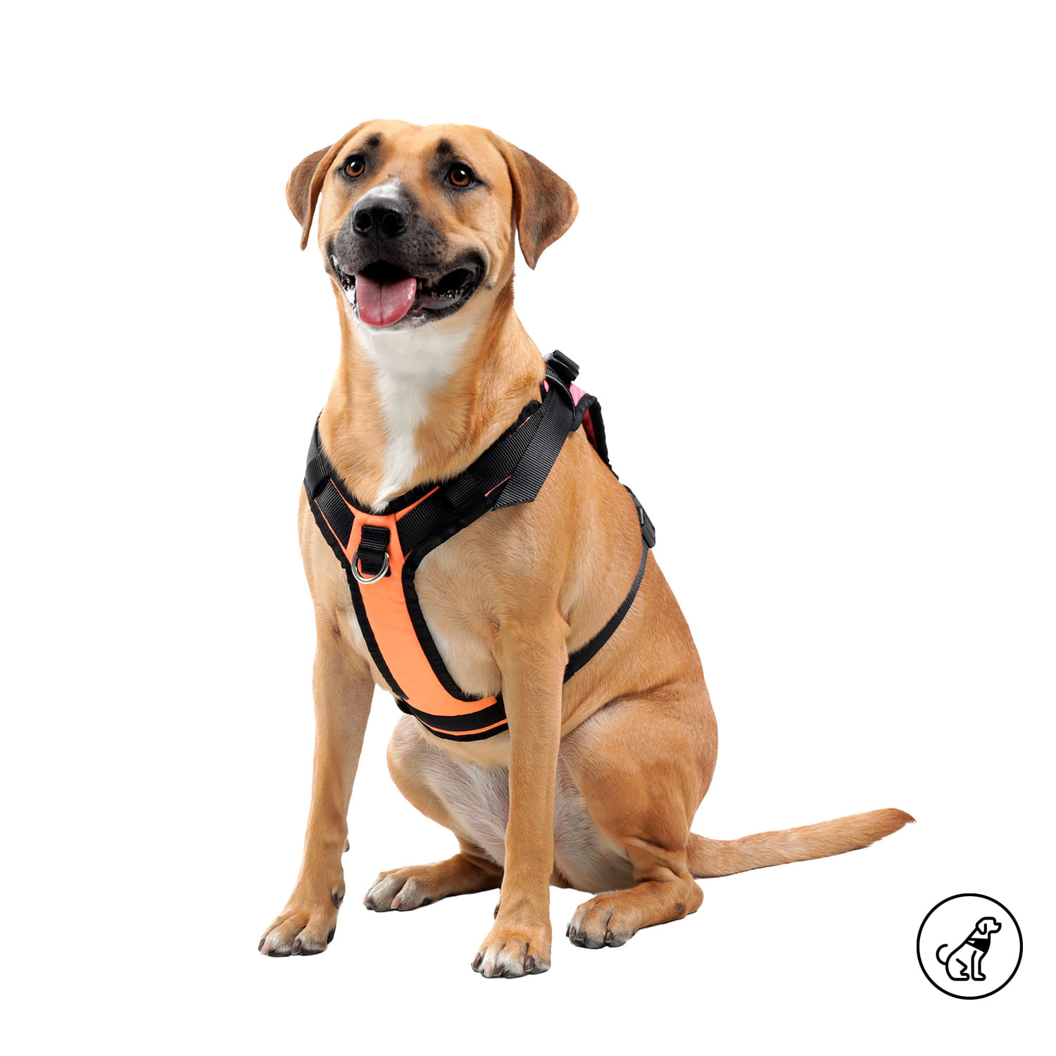 Arnés Pechera para Perro Rex L Azul/Rosado/Naranja