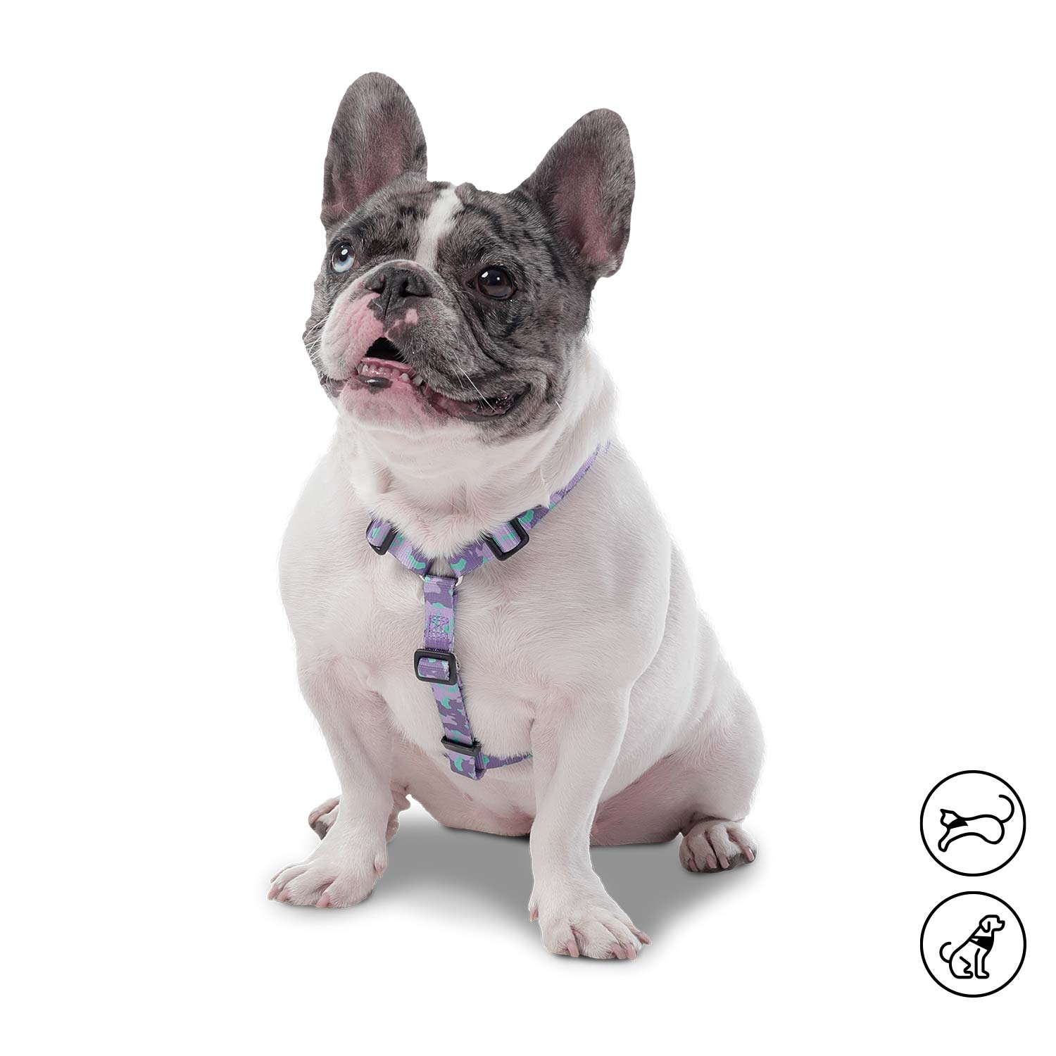 Arnés grande para Perro Figgo Xl Morado