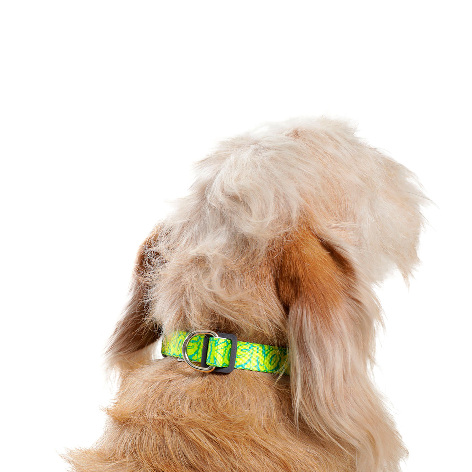 Collar para Perro Mylu Xs Amarillo