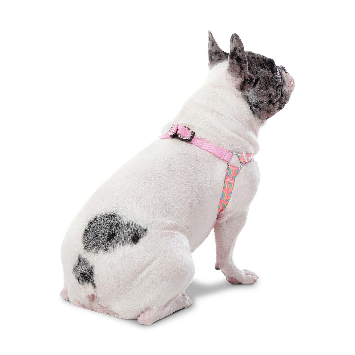 Arnés grande para Perro Brunno Xl Rosado