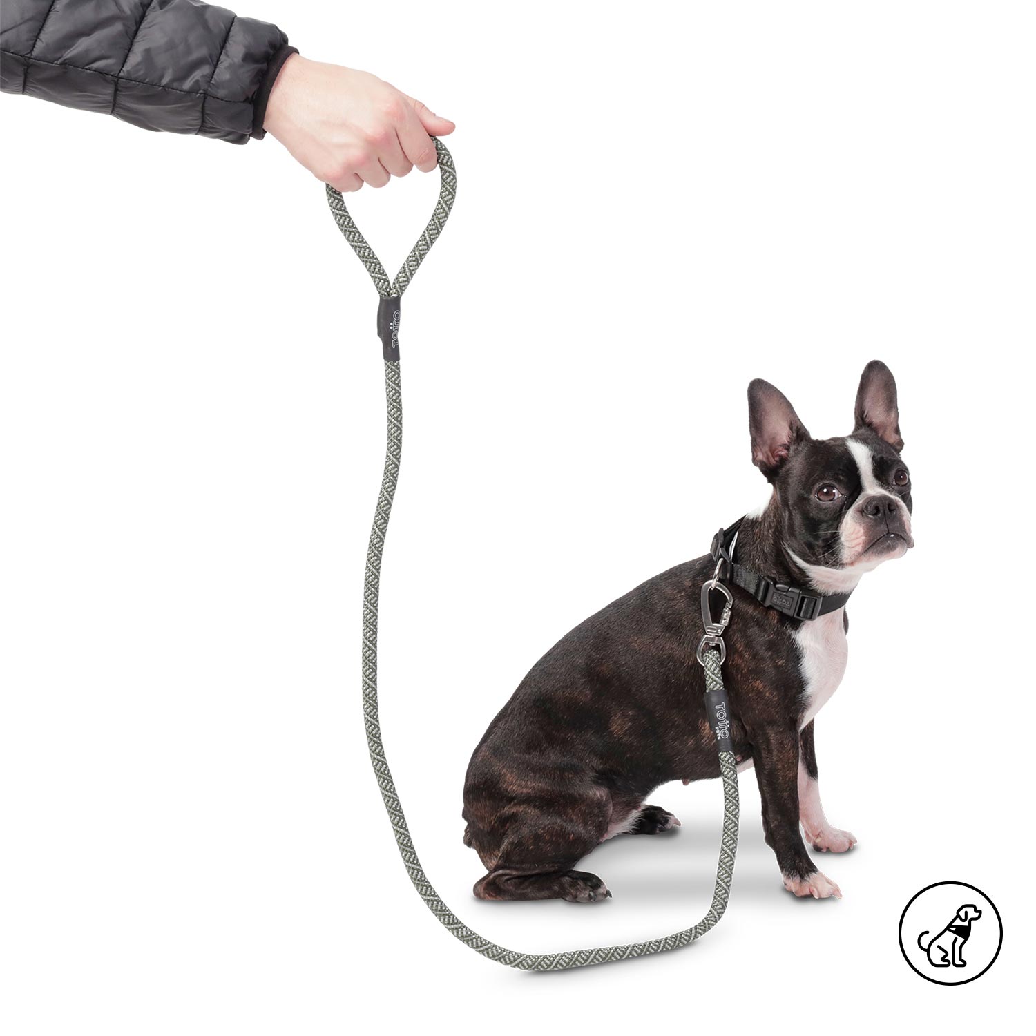 Correa para Perro Sencilla Nolan Verde