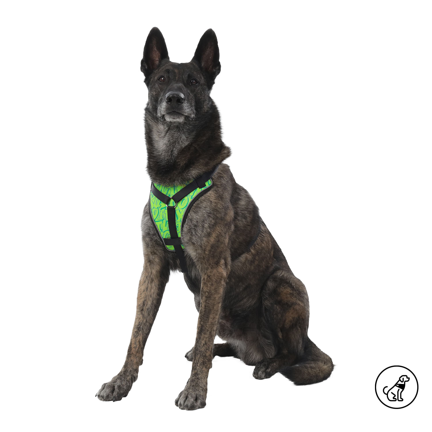 Arnés pechera para perro Taco Xl Amarillo/Verde