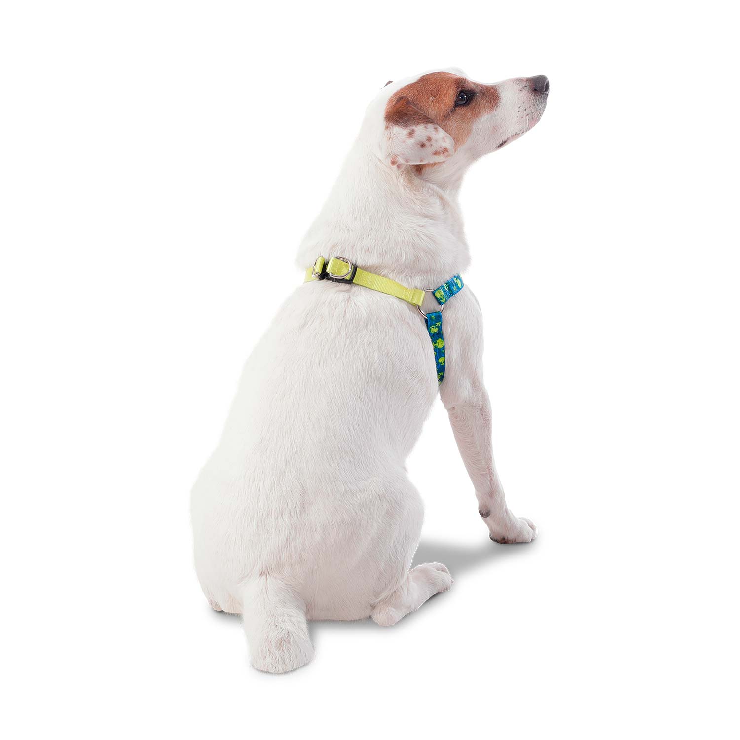 Arnés grande para Perro Brunno Xl Azul