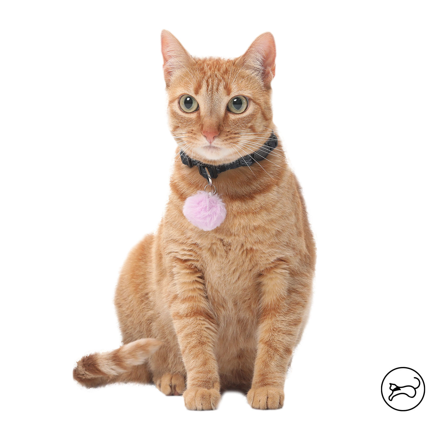 Collar para gatos Meow negro