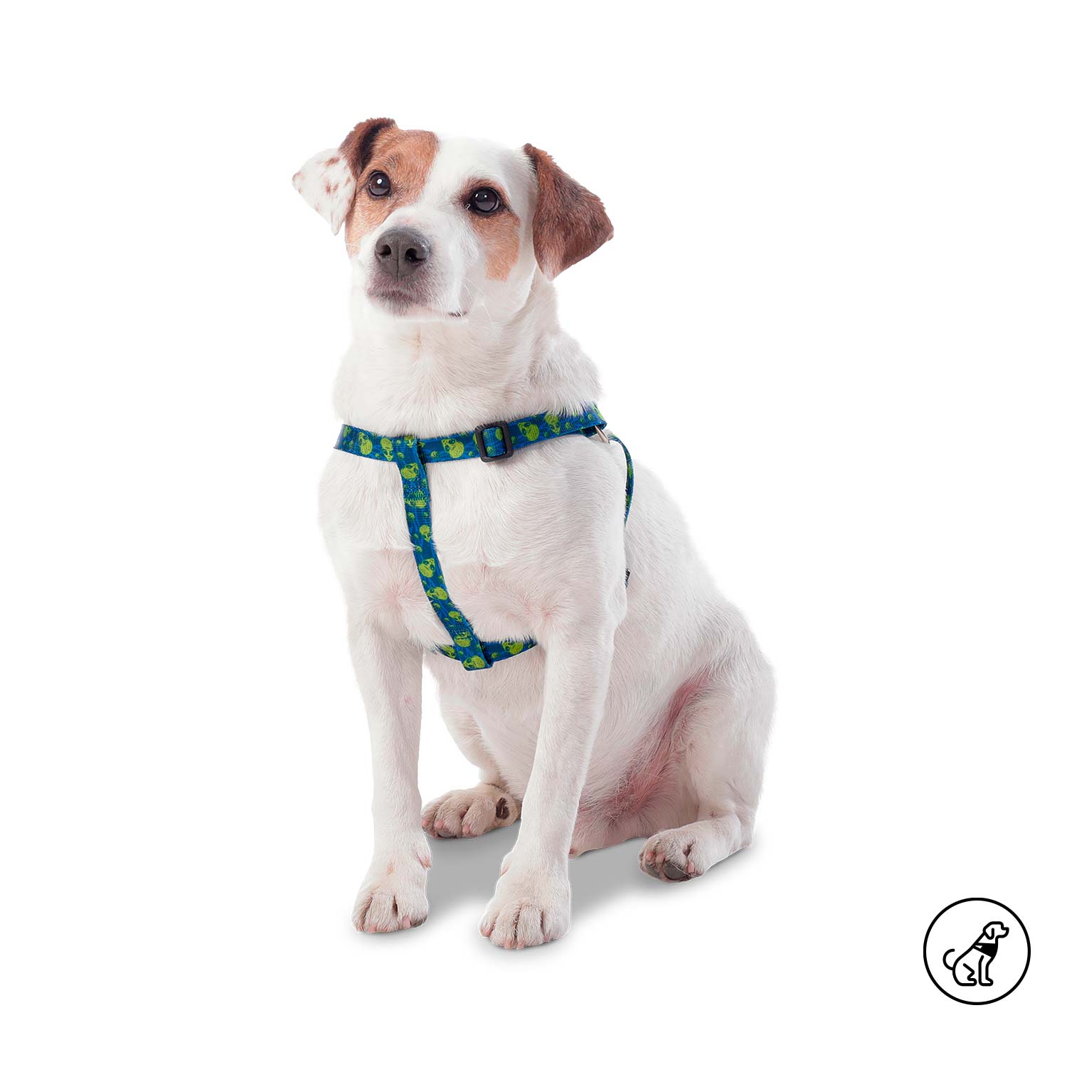 Arnés grande para Perro Brunno Xl Azul