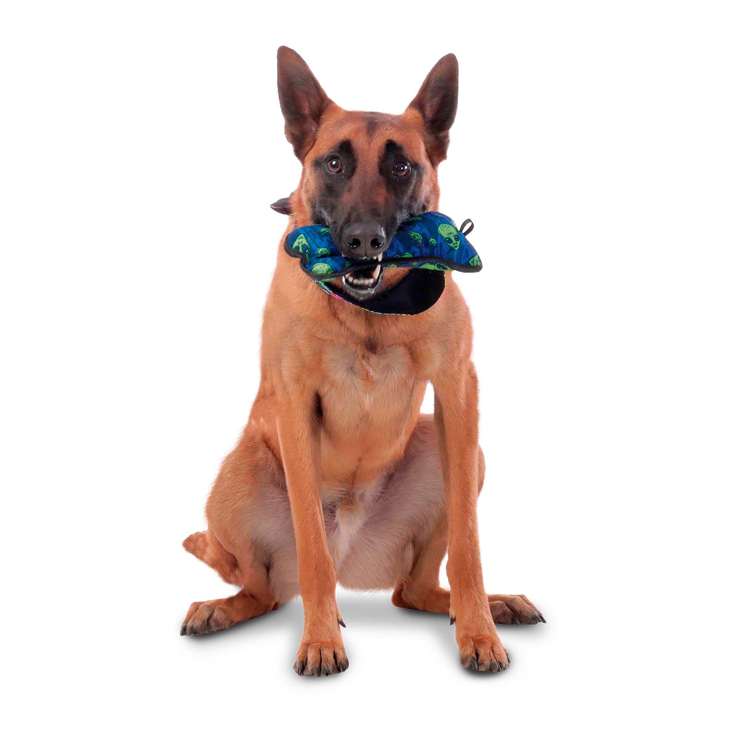 Juguete para Mascota Bone Azul