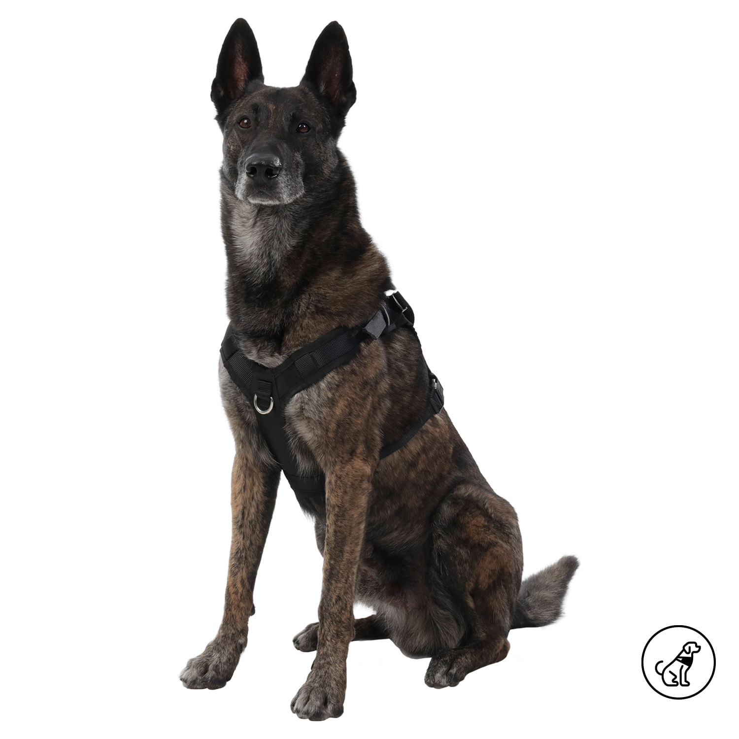 Arnés Pechera para Perro Rex M Negro