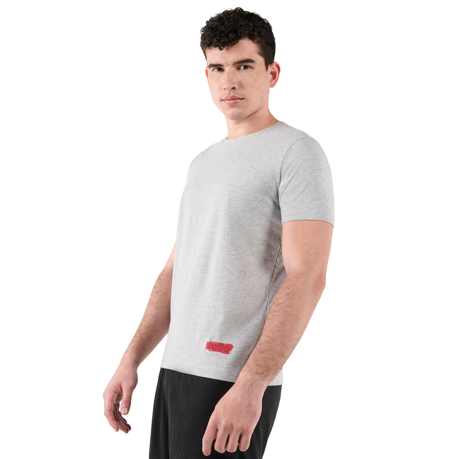 Camiseta para Hombre Mozartpro Gris