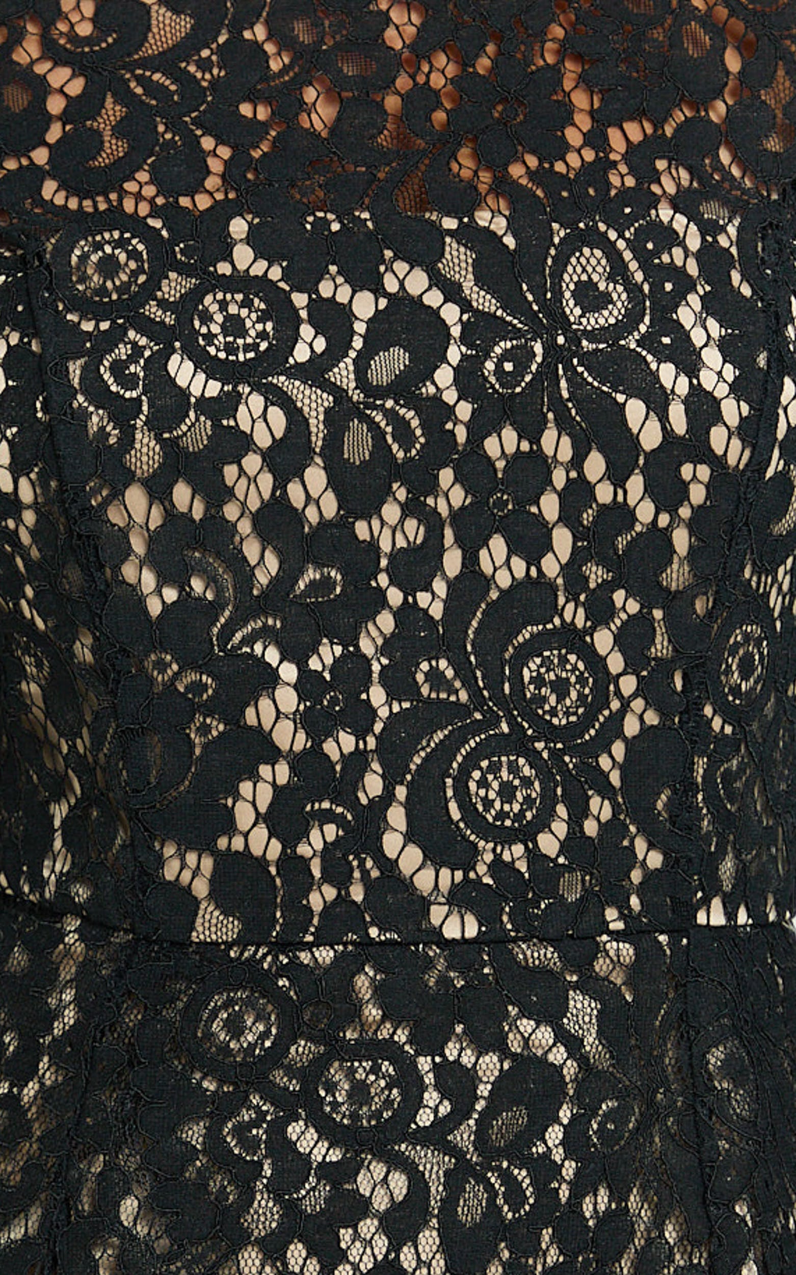 Ness Mini Dress - Long Sleeve Lace Fit And Flare Dress in Black