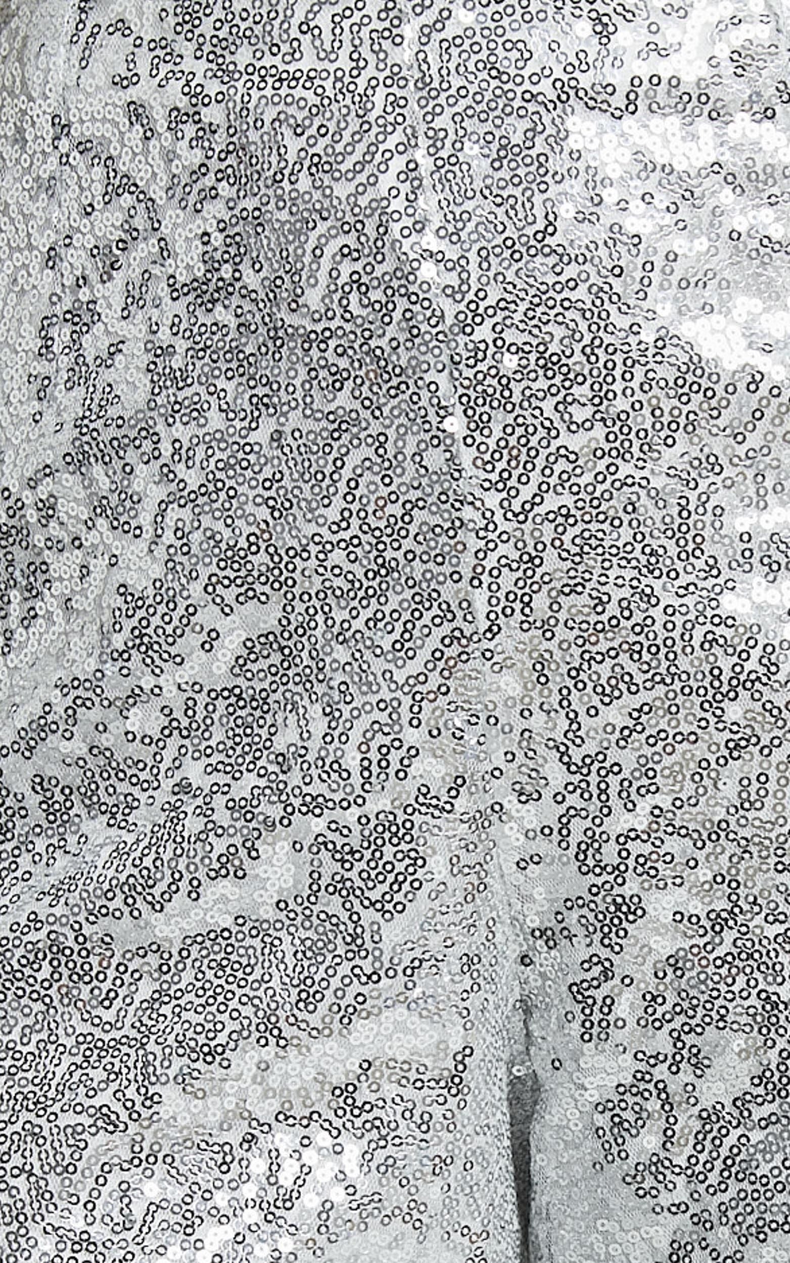 Looma Sequin Pants - High Waisted Super Wide Leg Pants in Silver